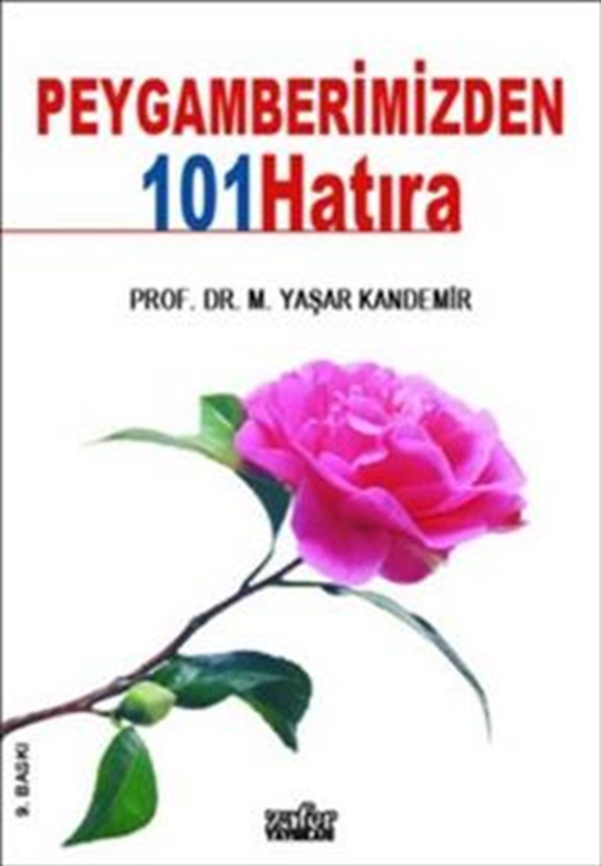 Peygamberimizden 101 Hatıra