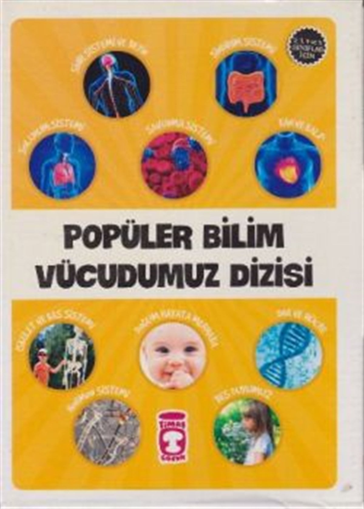 Popüler Bilim Vücudumuz Dizisi