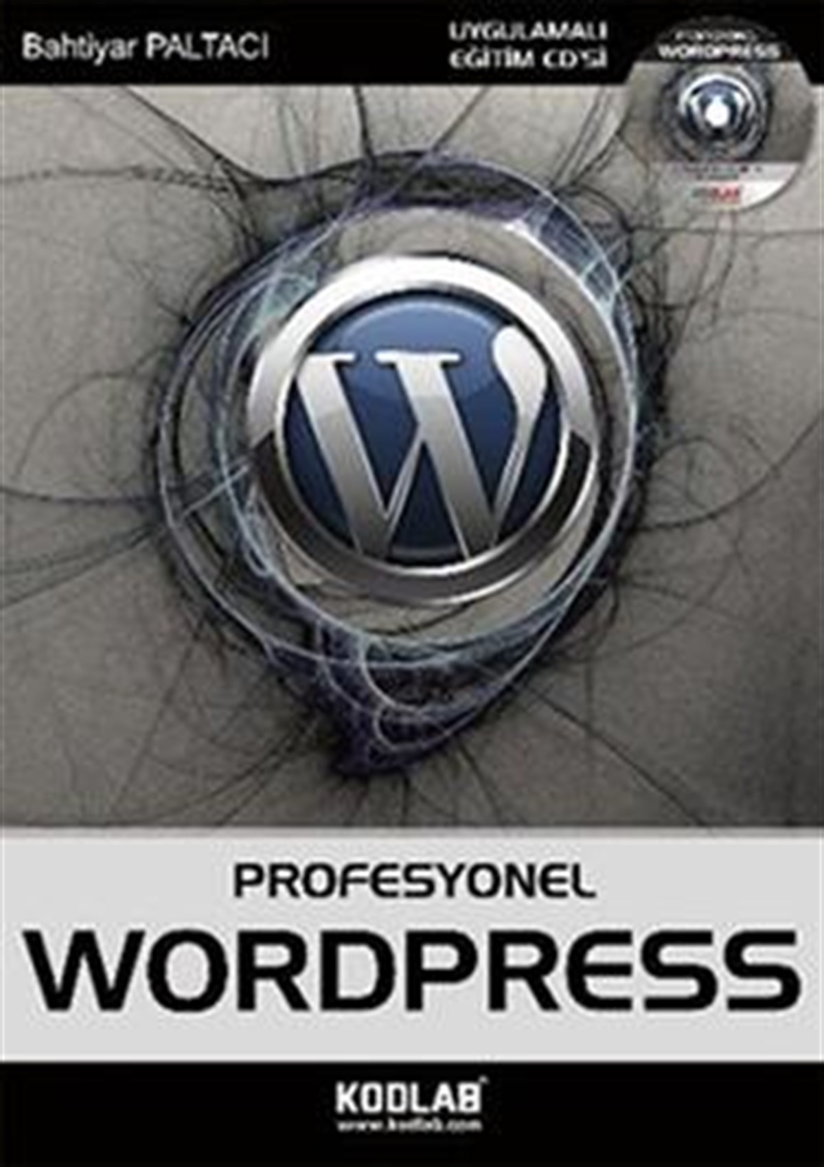 Profesyonel WordPress