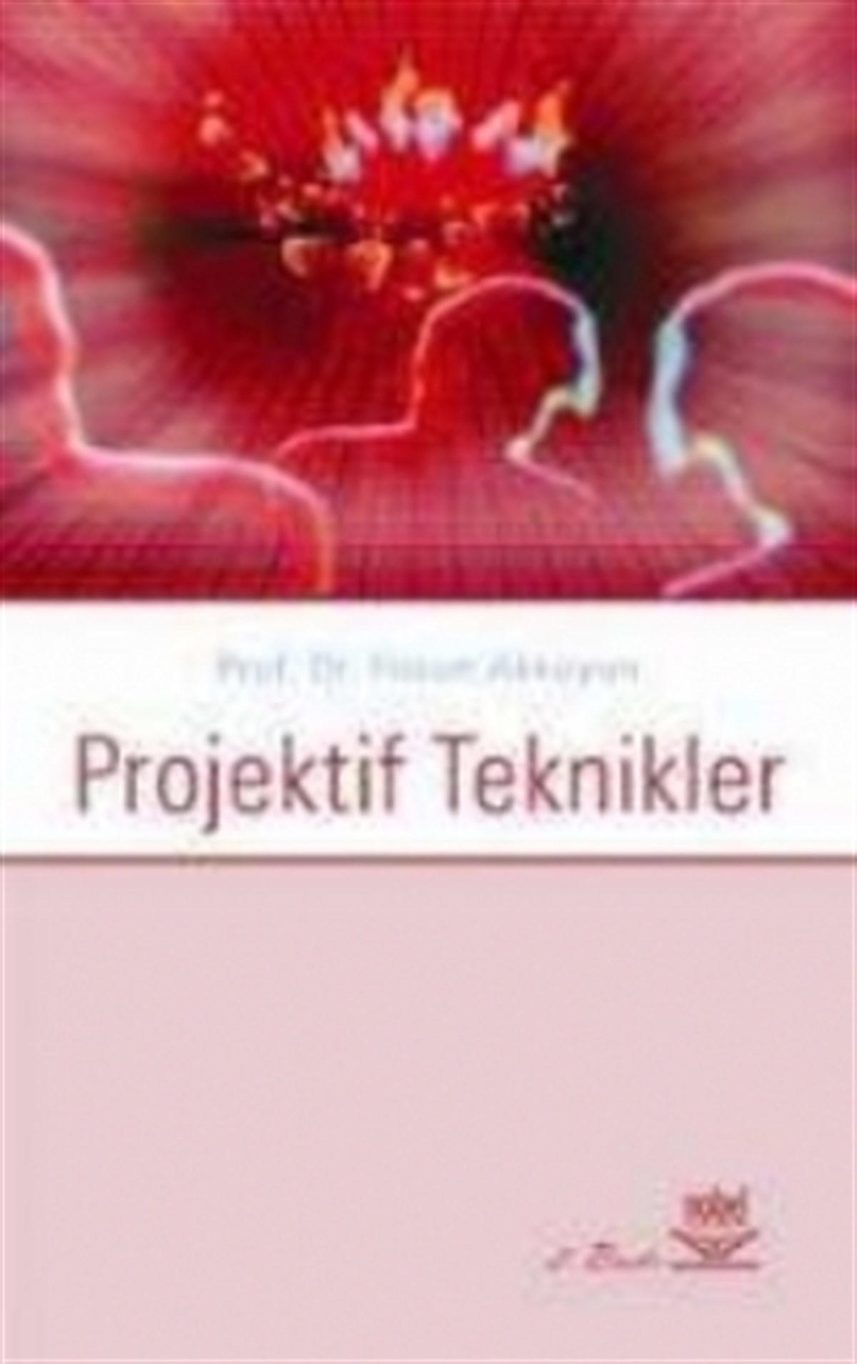 Projektif Teknikler