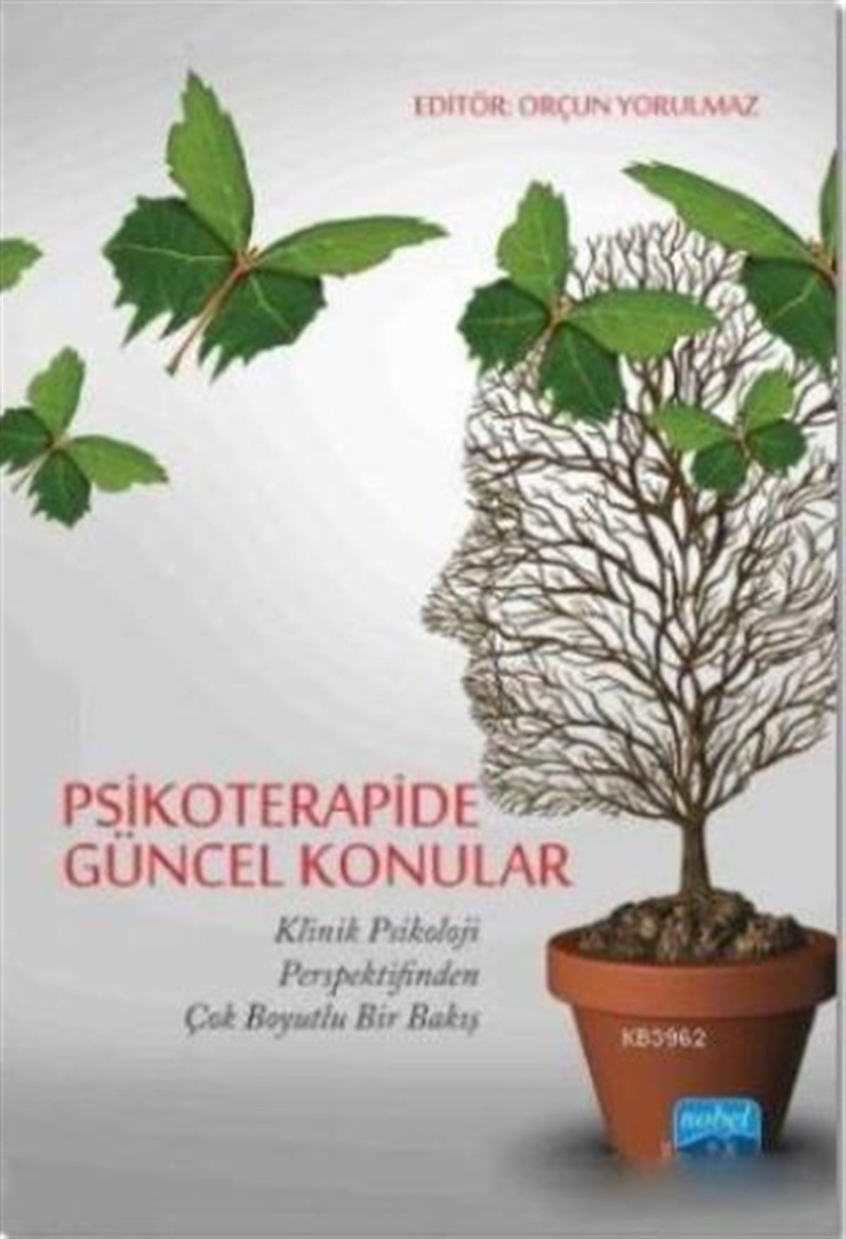 Psikoterapide Güncel Konular (Klinik Psikoloji Perspektifinden Çok Boyutlu Bir Bakış)