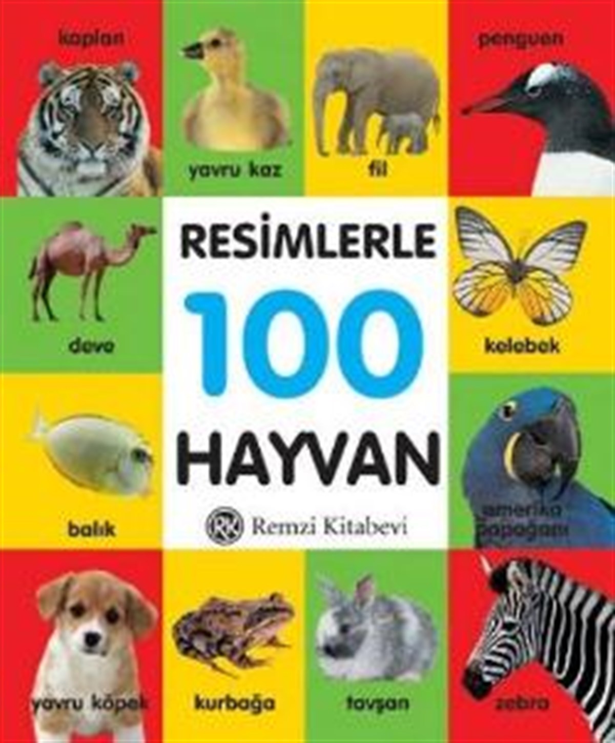Resimlerle 100 Hayvan (Küçük Boy)