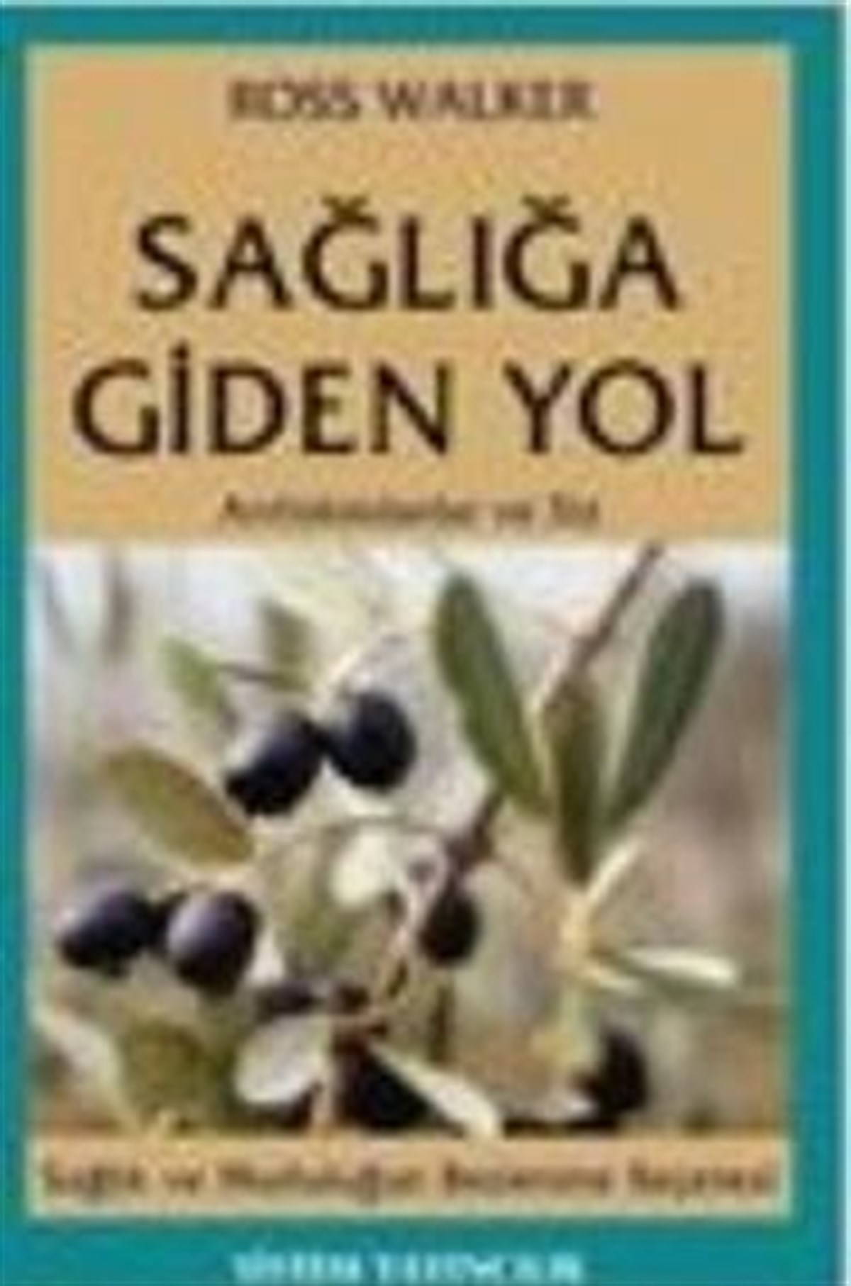 Sağlığa Giden Yol