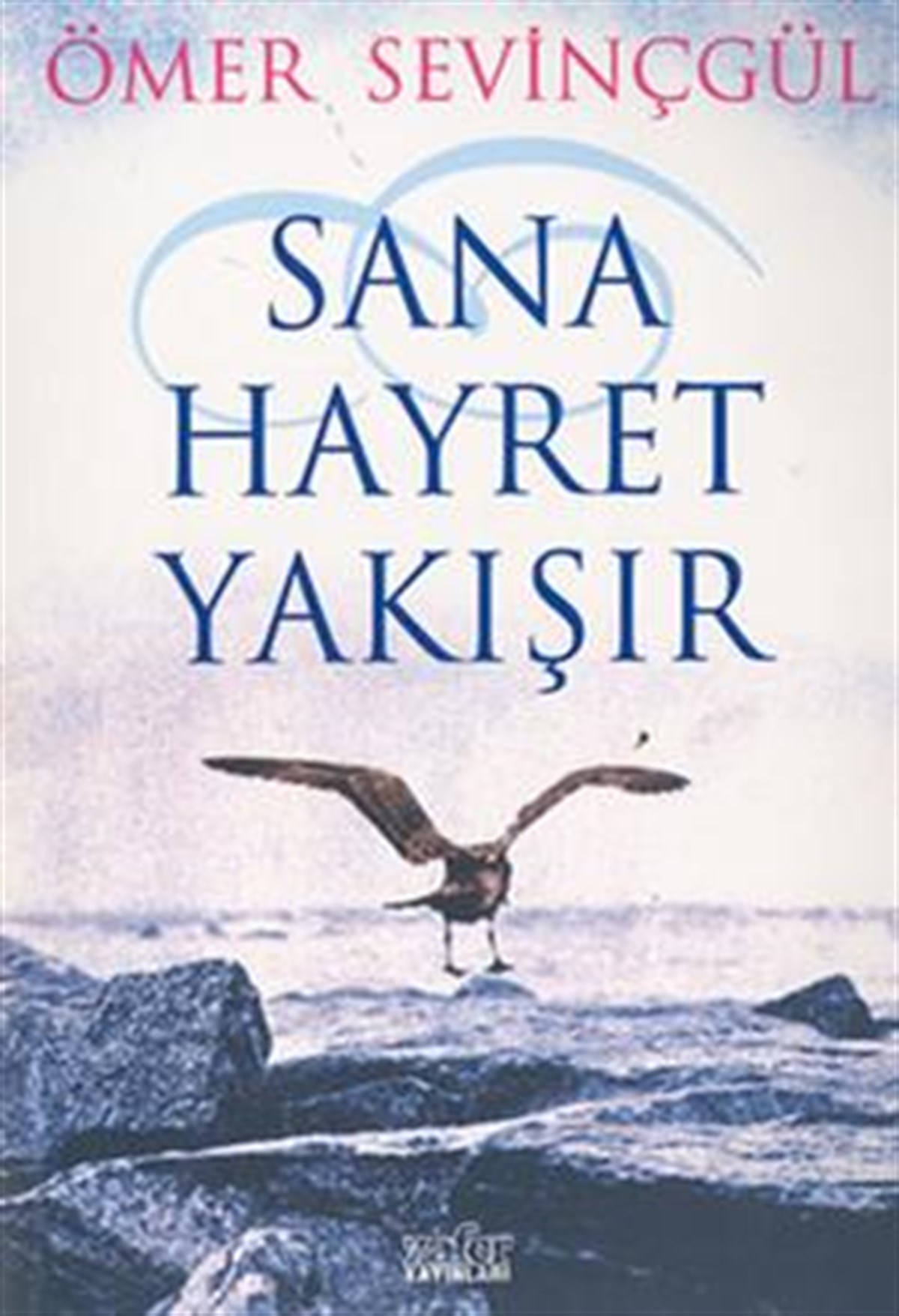 Sana Hayret Yakışır