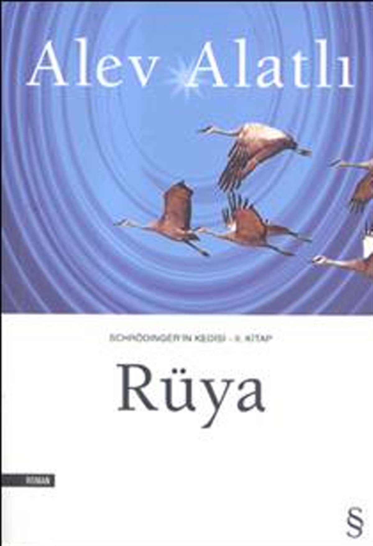 Schrödinger’in Kedisi - 2. Kitap - Rüya