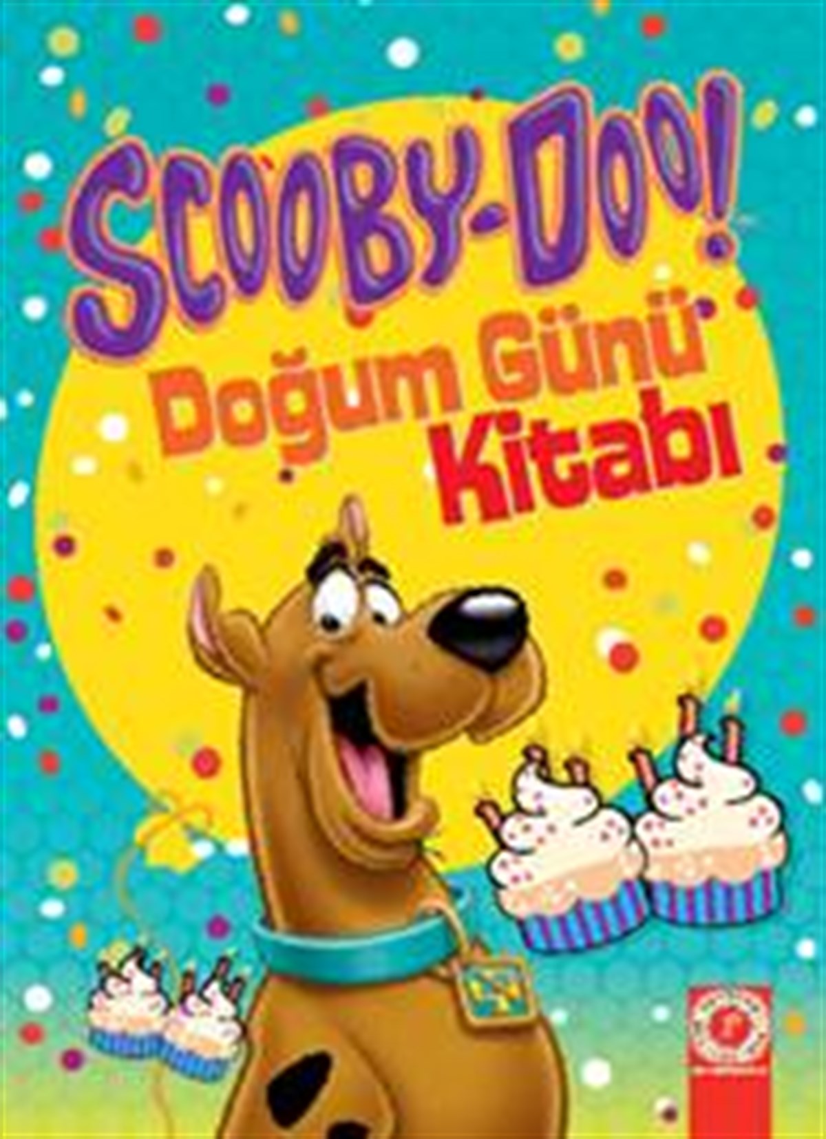 SCOOBY-DOO! Doğum Günü Kitabı