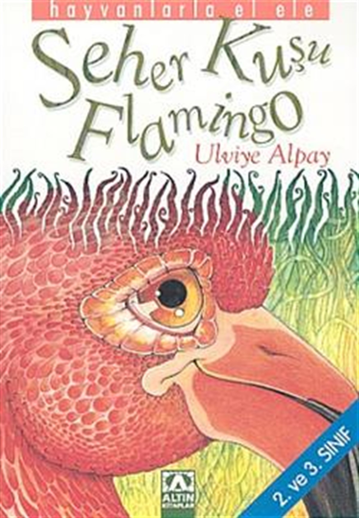 Seher Kuşu Flamingo 2. ve 3. Sınıf