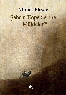Şehrin Köpeklerine Müjdeler