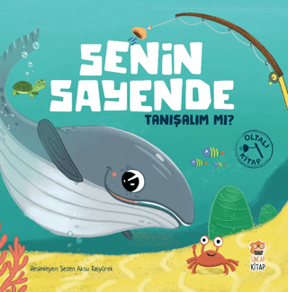 Senin Sayende - Tanışalım mı?