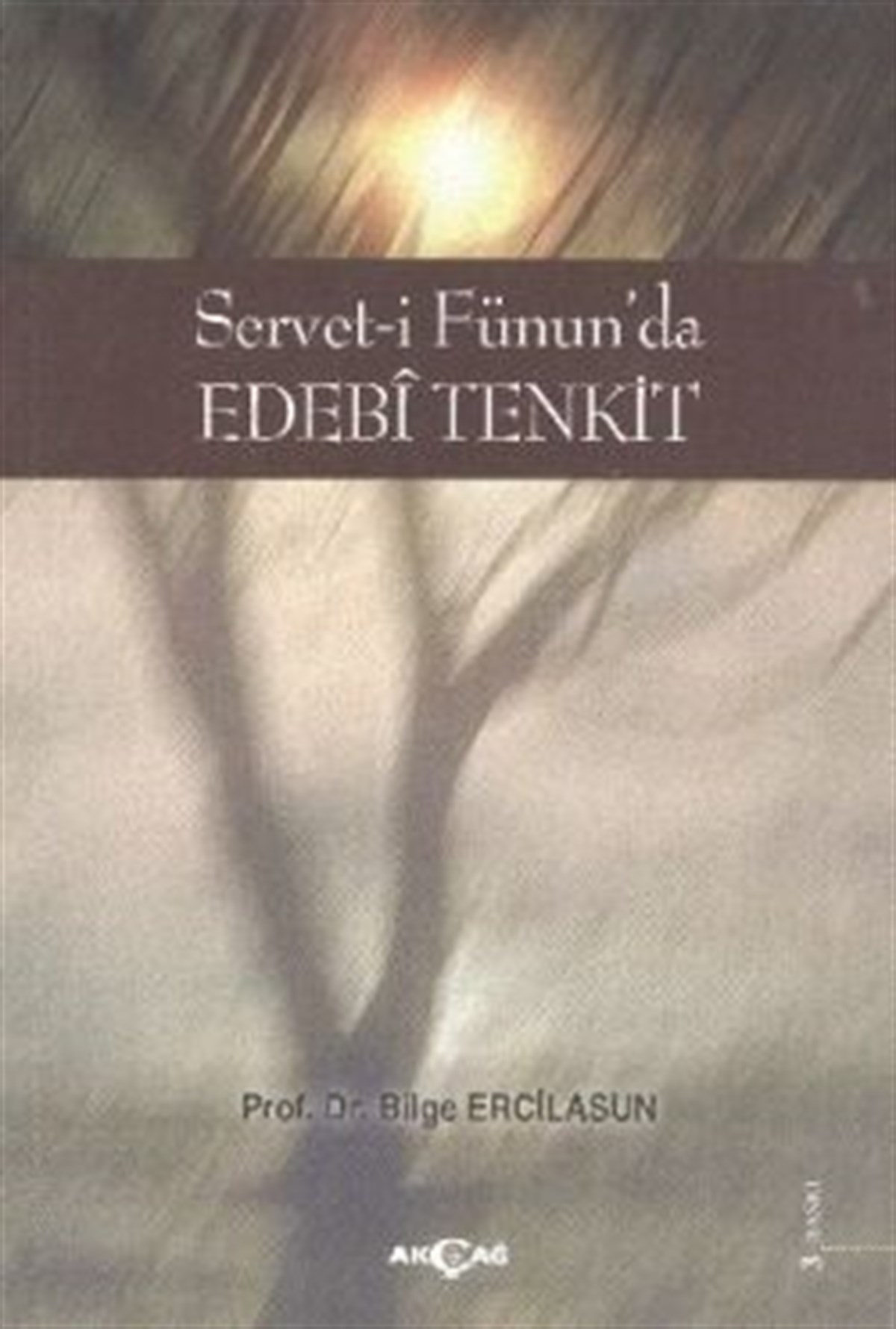 Servet-i Fünun’da Edebi Tenkit