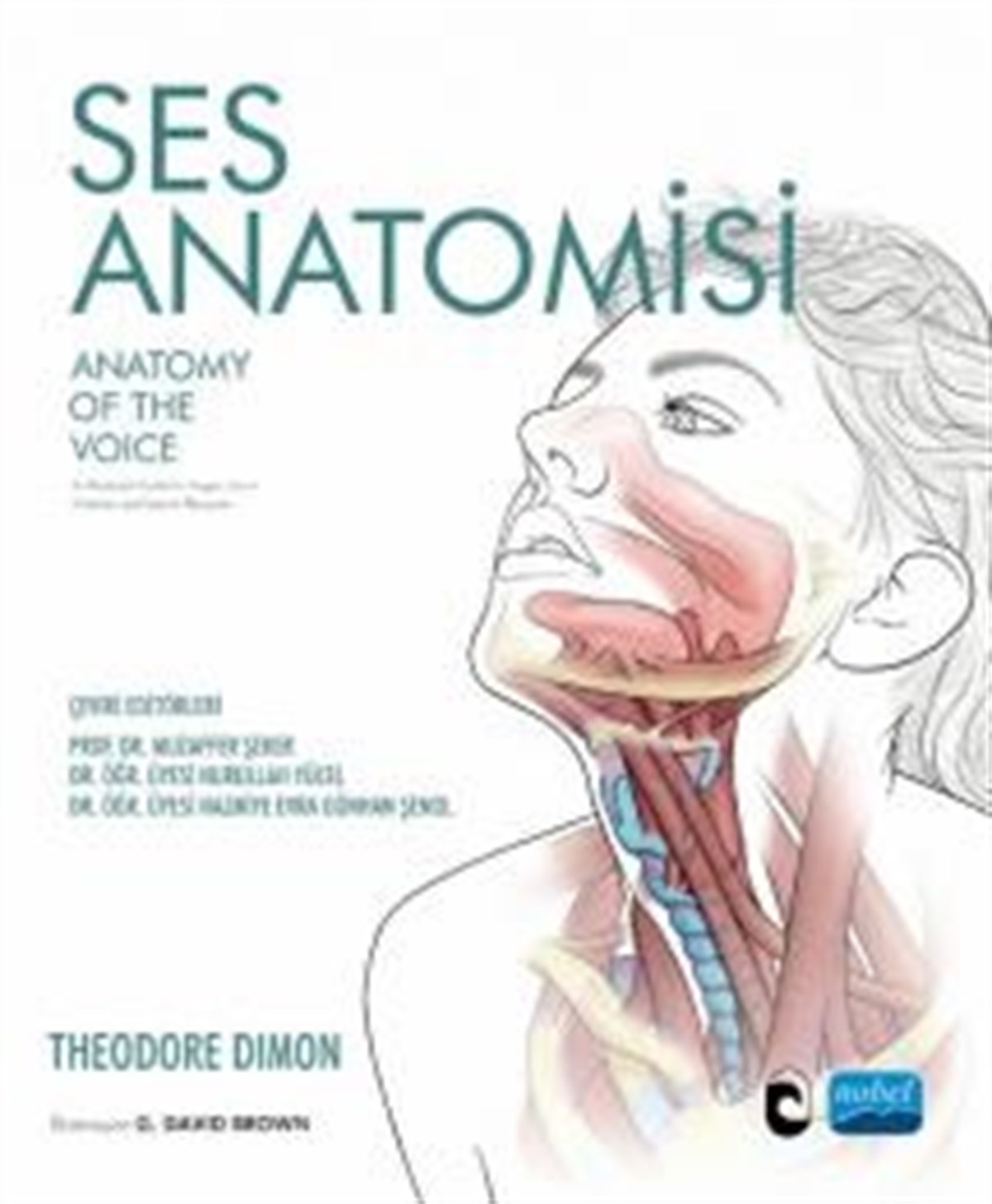 Ses Anotomisi