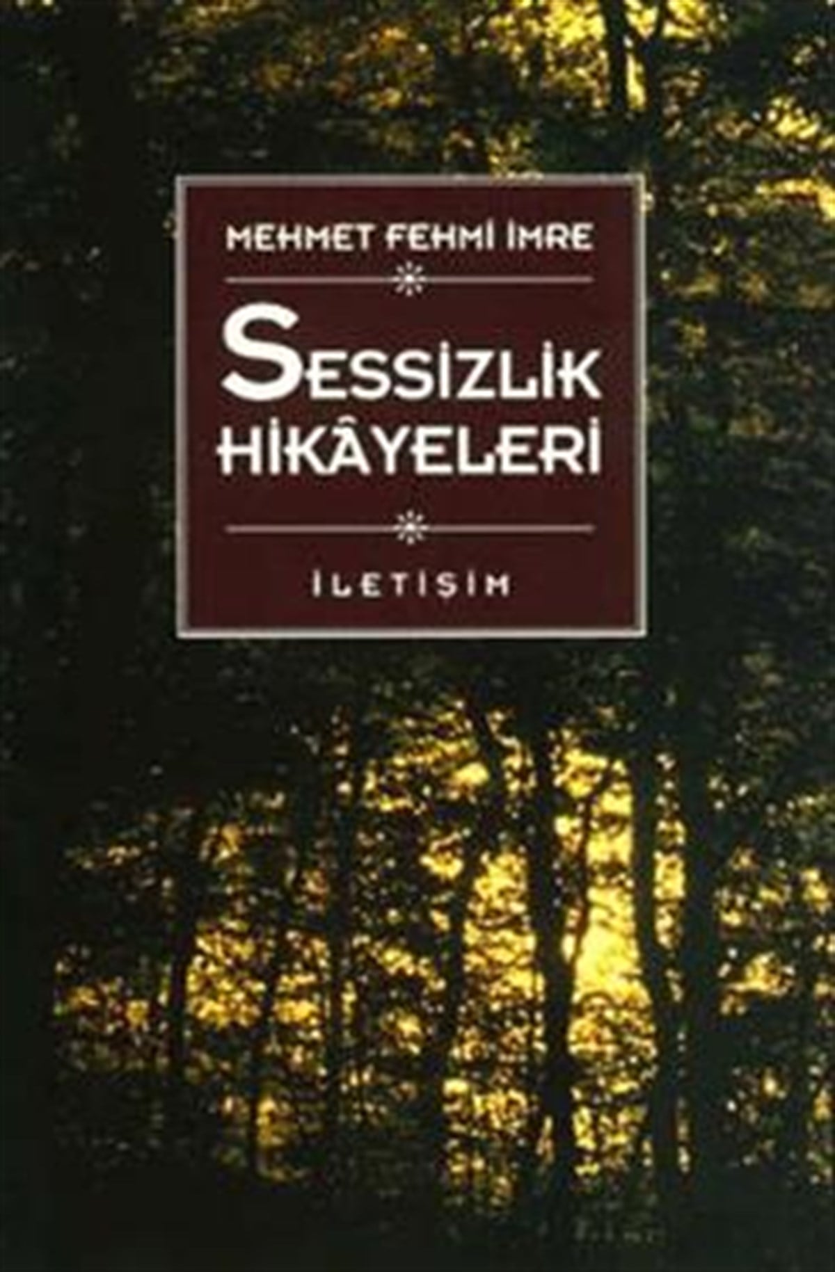 Sessizlik Hikayeleri