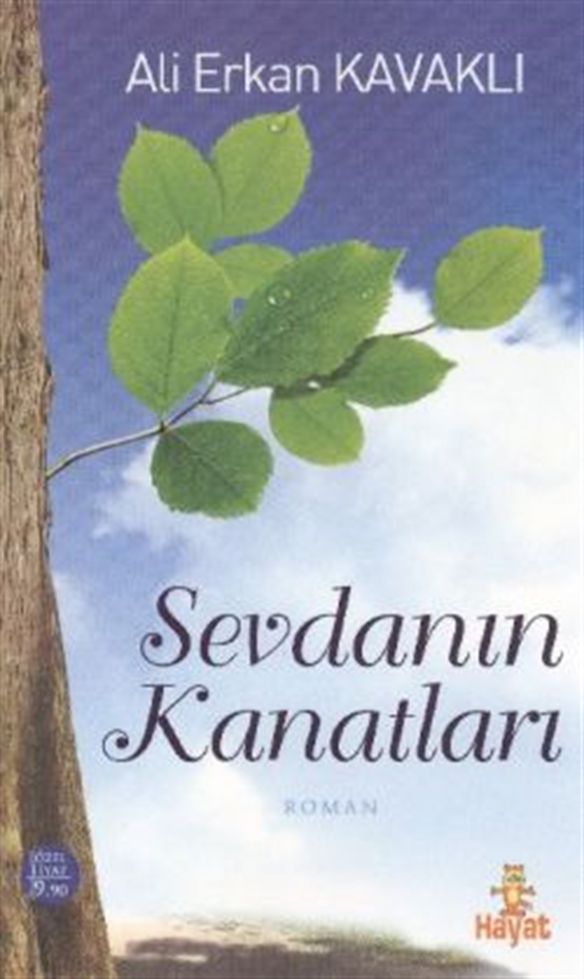Sevdanın Kanatları