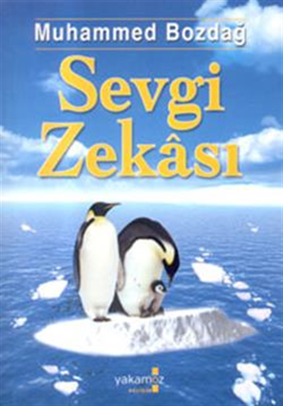 Sevgi Zekası