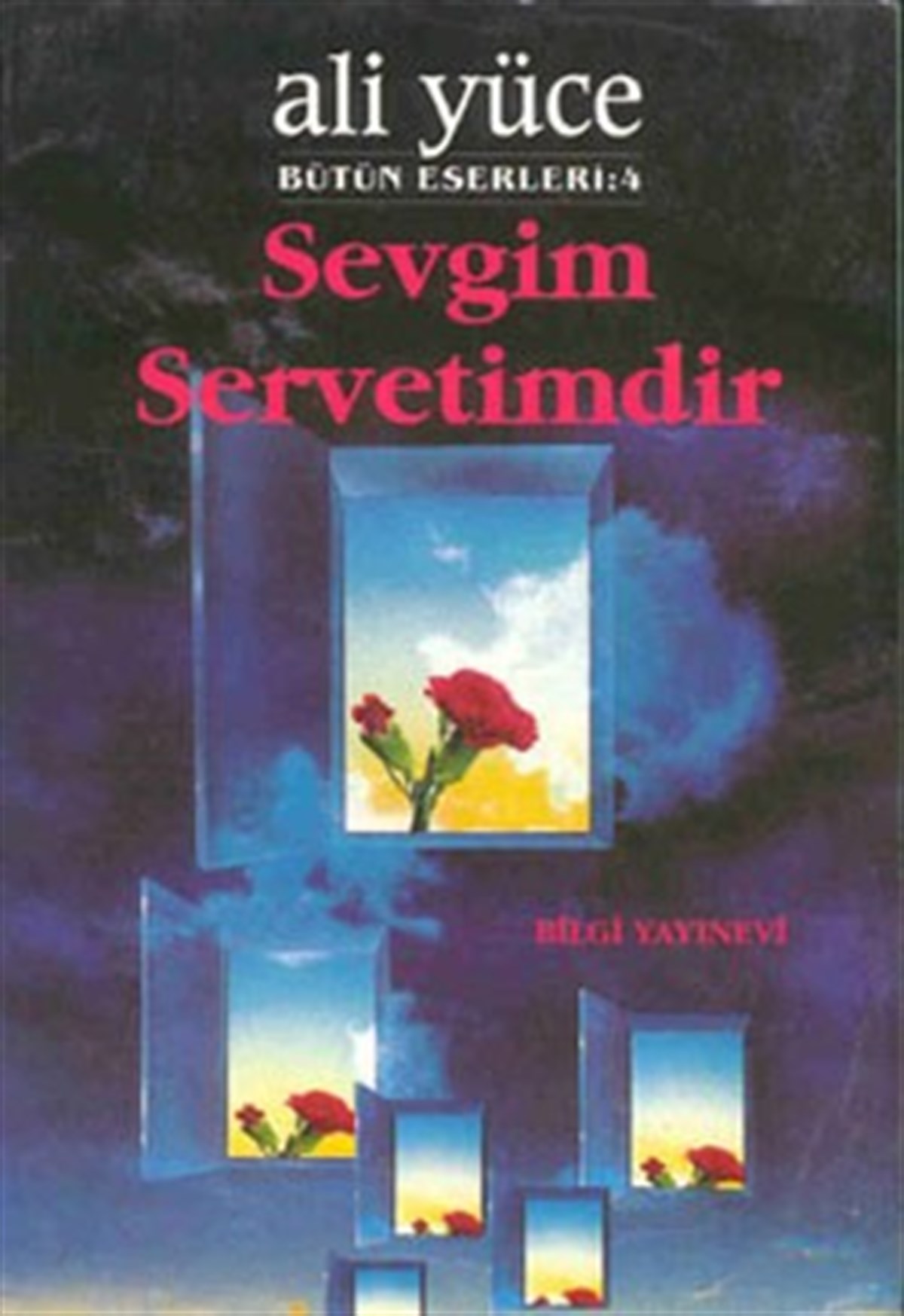 Sevgim Servetimdir Bütün Eserleri: 4
