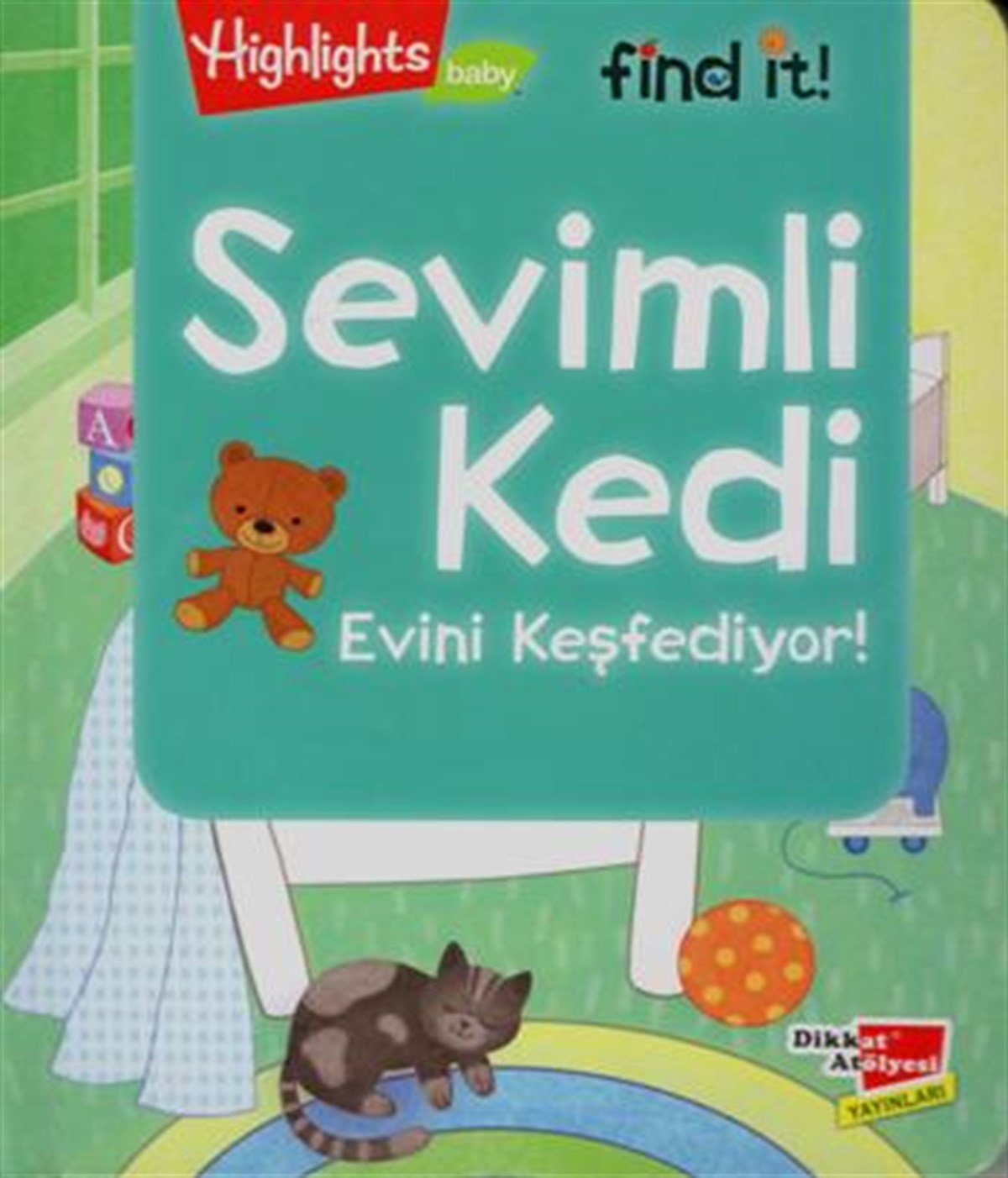 Sevimli Kedi Evini Keşfediyor