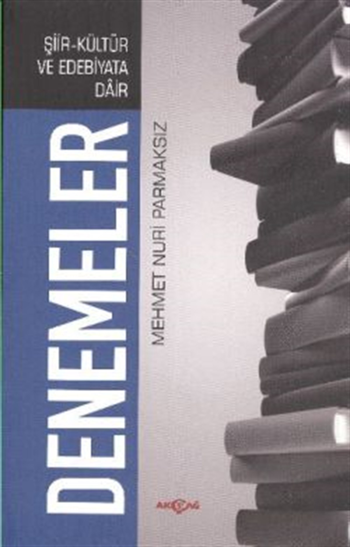 Şiir-Kültür ve Edebiyata Dair Denemeler
