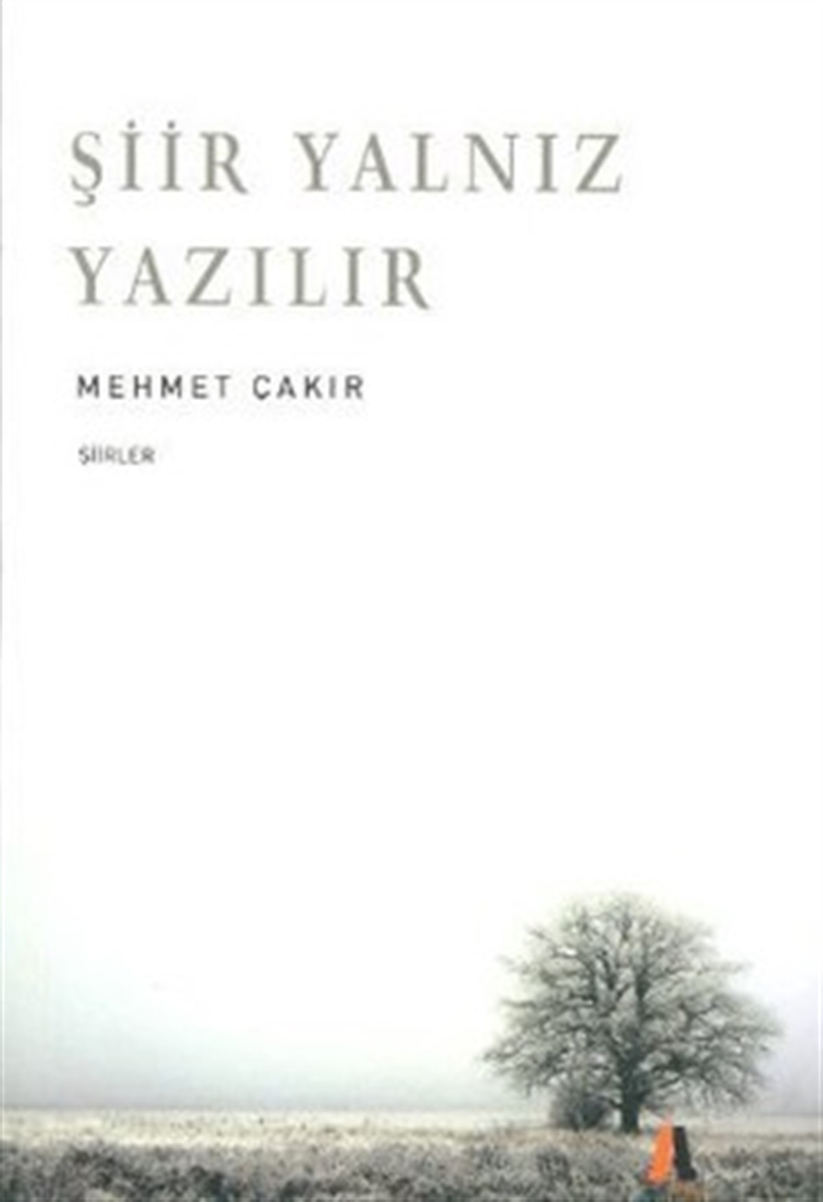 Şiir Yalnız Yazılır