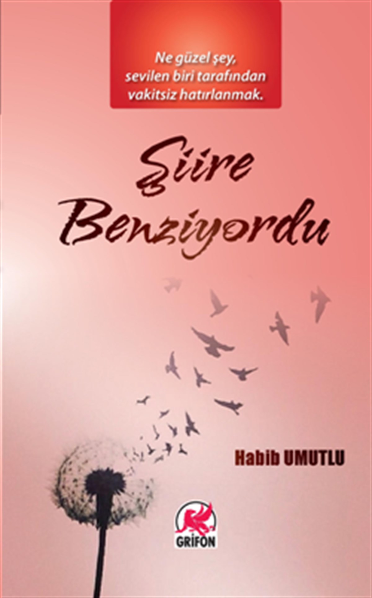 Şiire Benziyordu