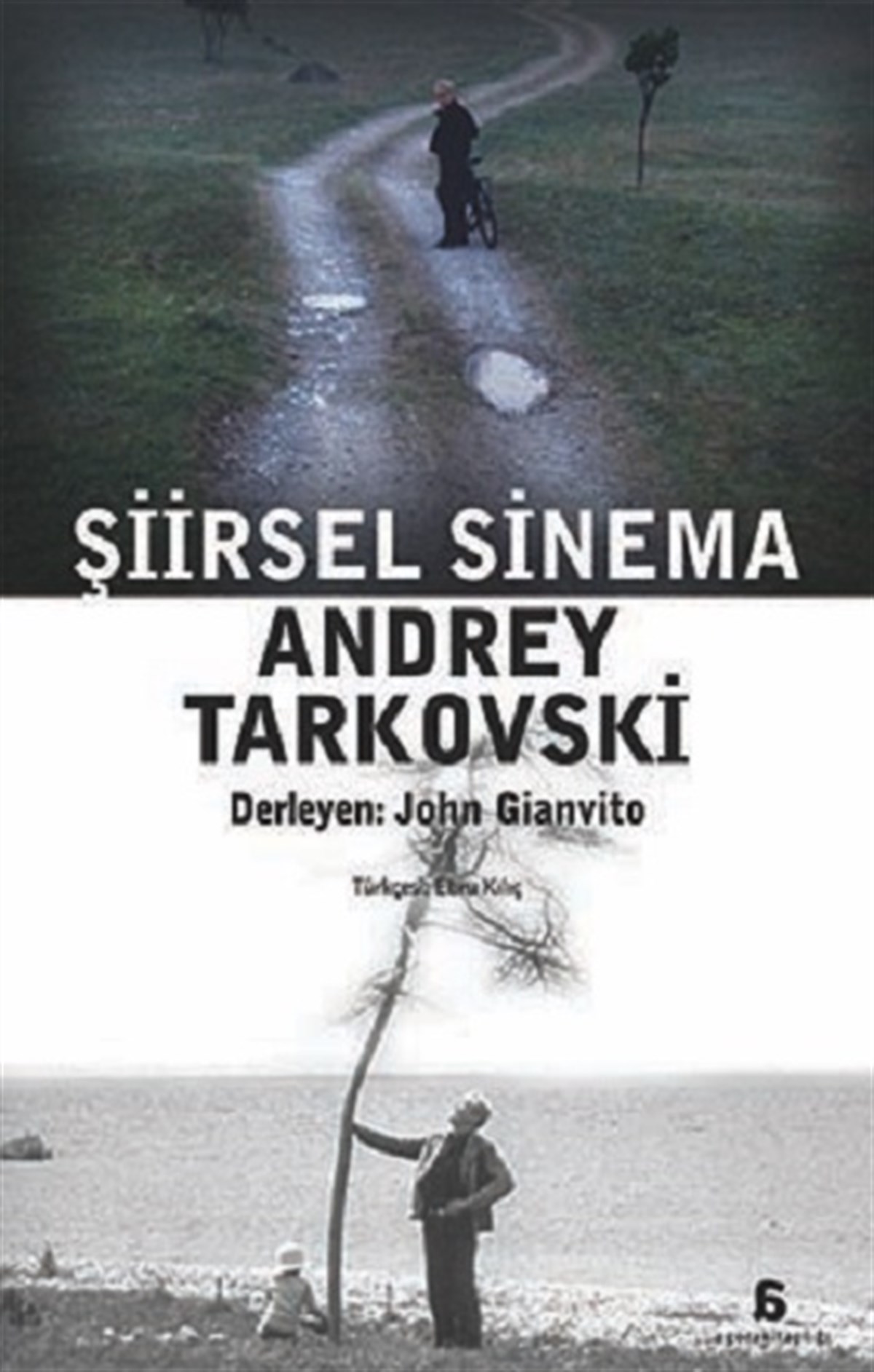 Şiirsel Sinema
