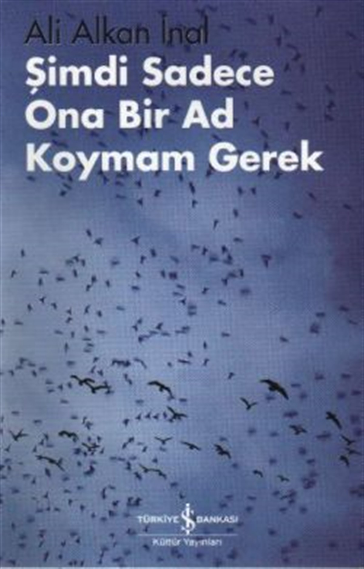 Şimdi Sadece Ona Bir Ad Koymam Gerek