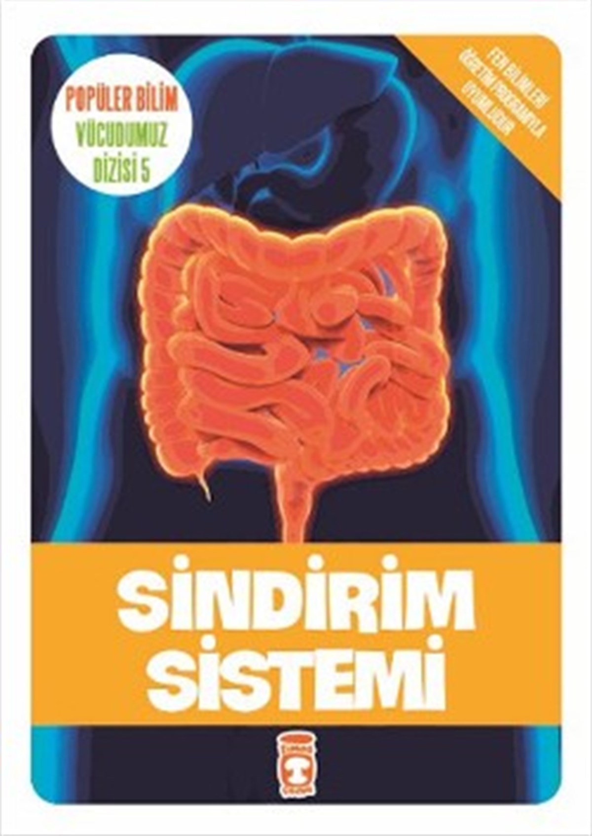 Sindirim Sistemi