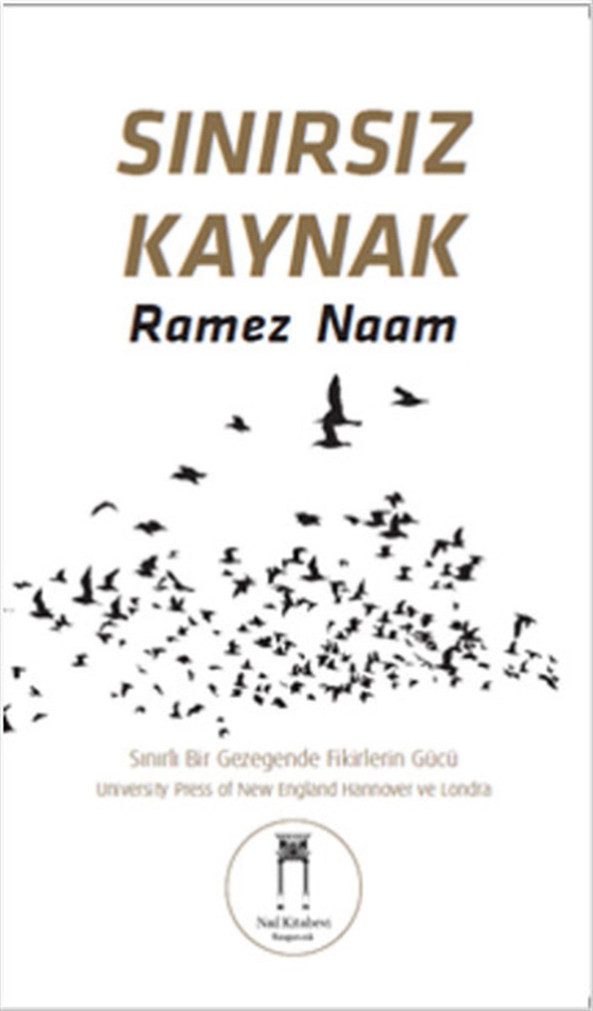 Sınırsız Kaynak Sınırlı Bir Gezegende Fikirlerin Gücü