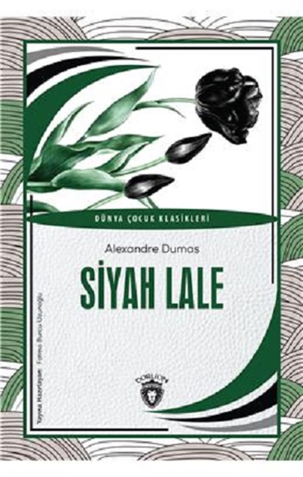 Siyah Lale Dünya Çocuk Klasikleri