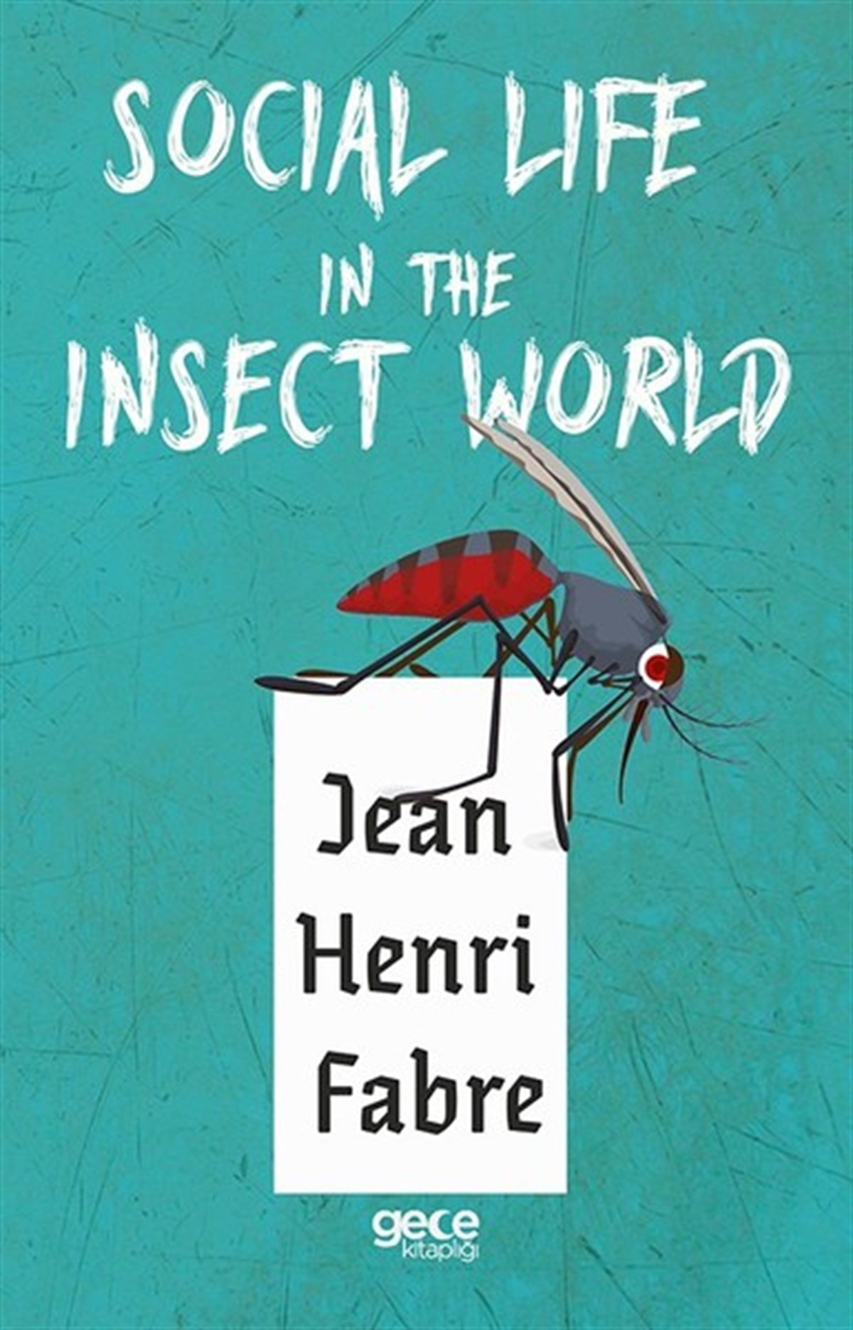 Social Life in the Insect World