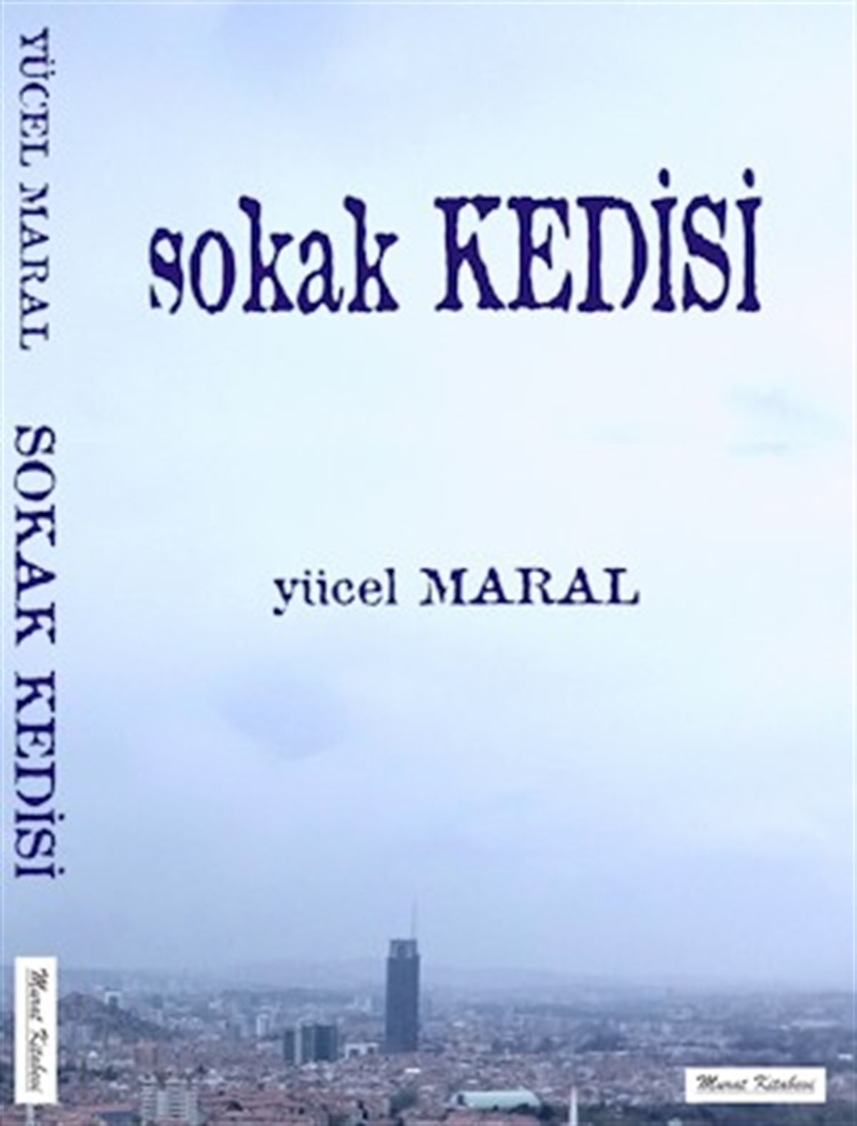 Sokak Kedisi
