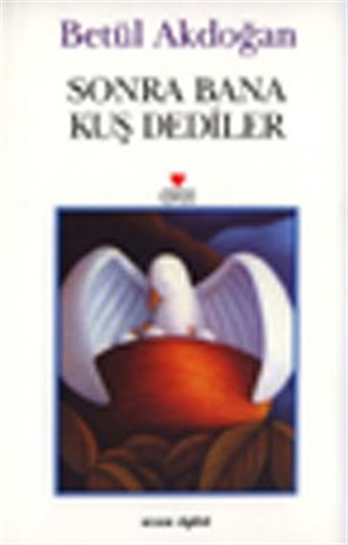 Sonra Bana Kuş Dediler