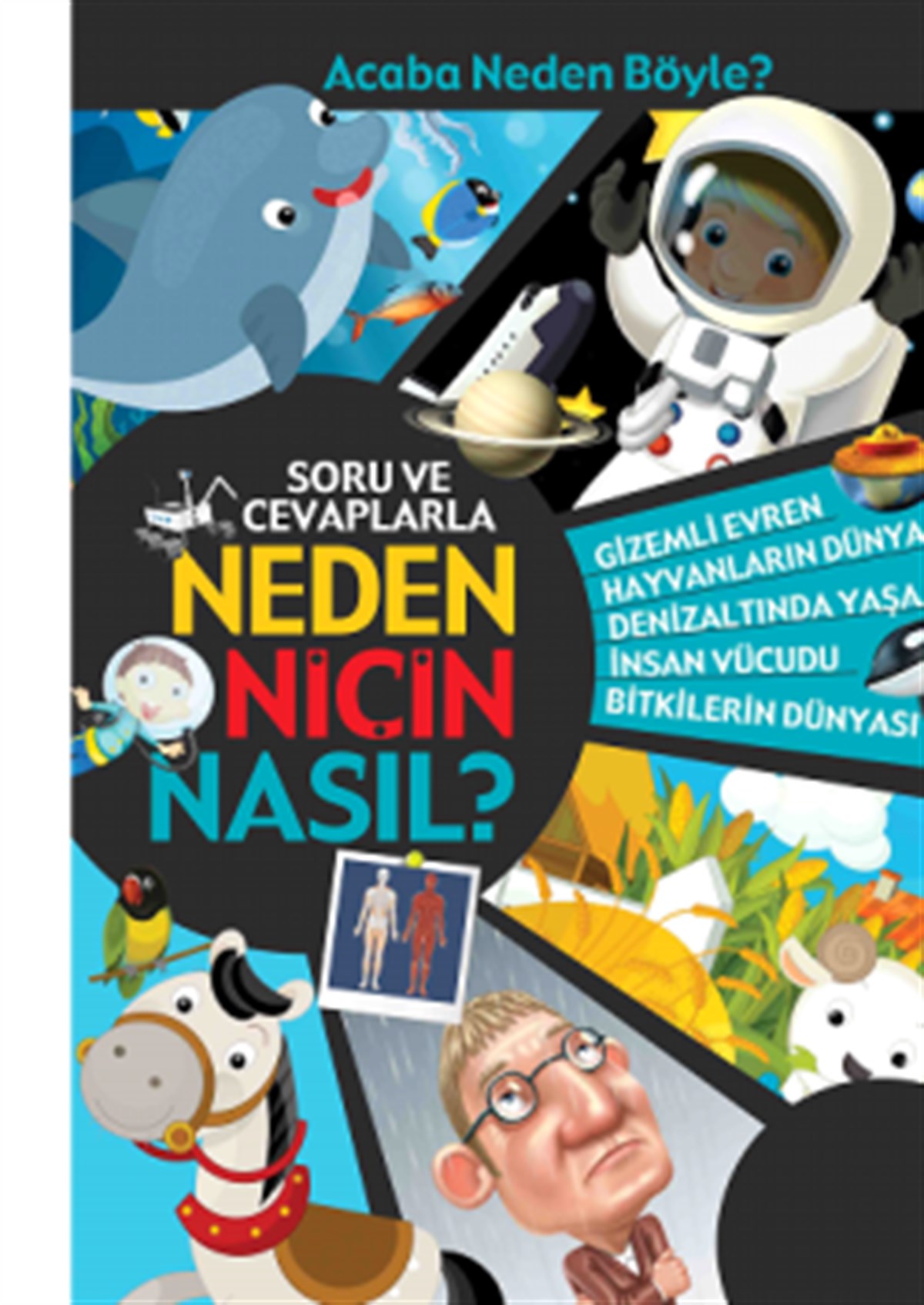 Soru ve Cevaplarla Neden Niçin Nasıl?