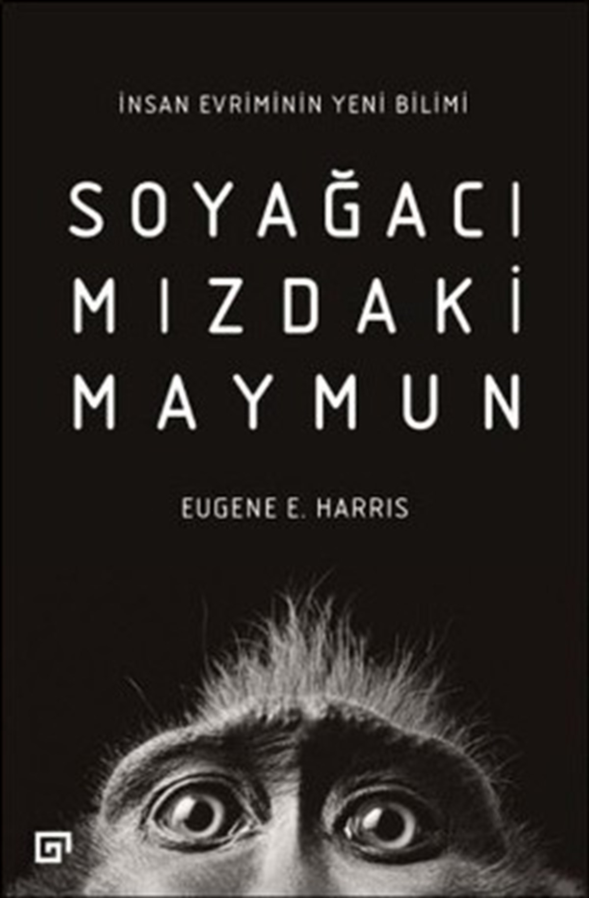 Soyağacımızdaki Maymun-İnsan Evriminin Yeni Bilimi