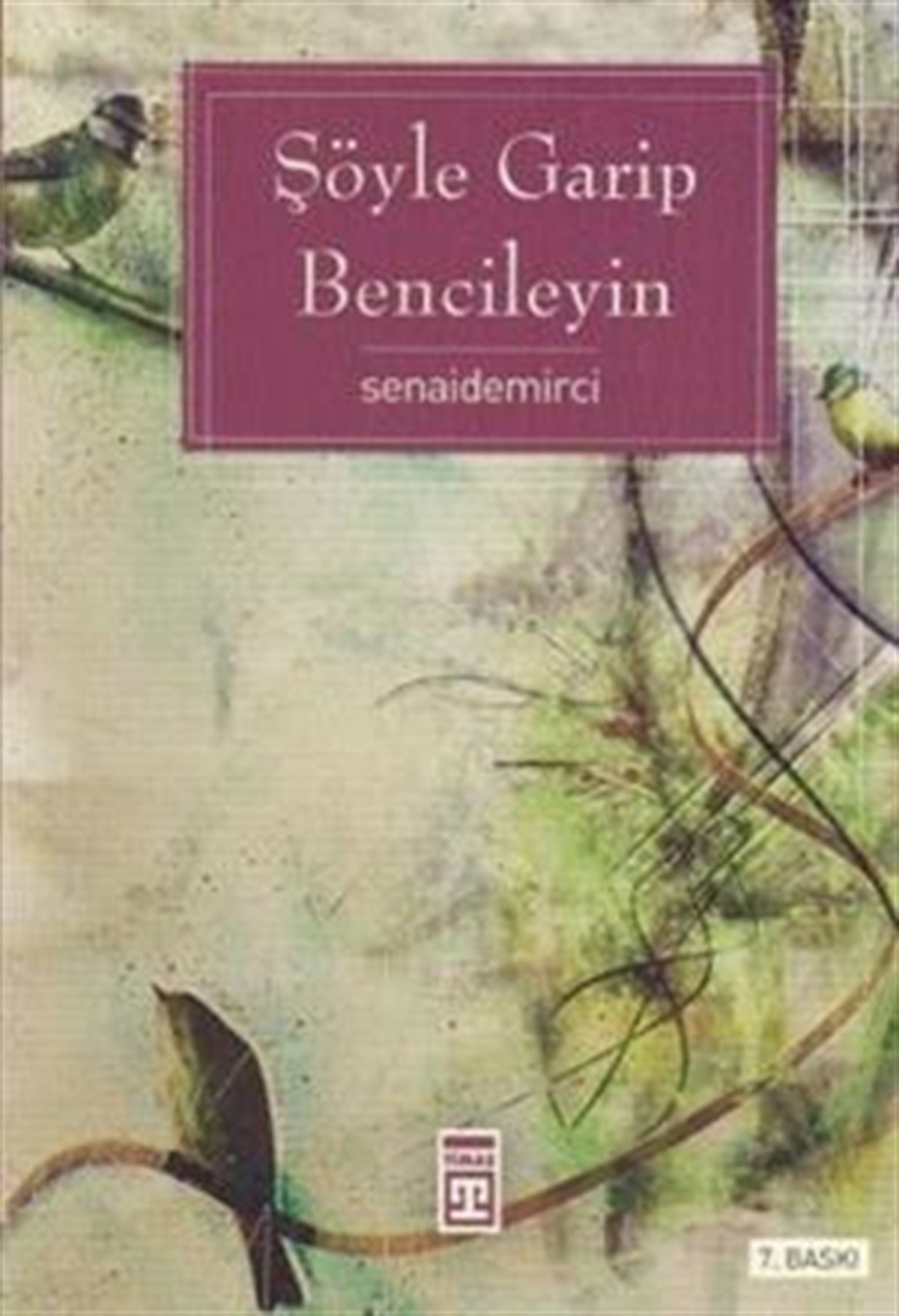 Şöyle Garip Bencileyin