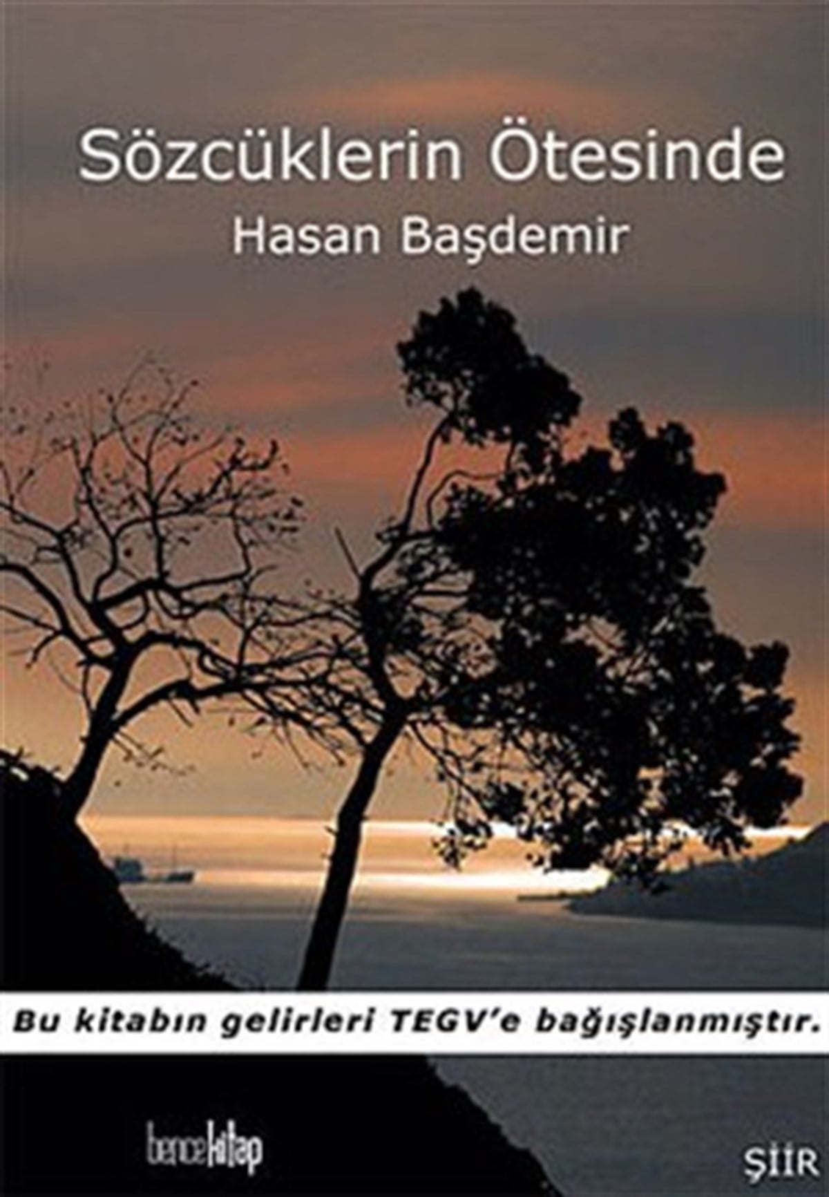 Sözcüklerin Ötesinde