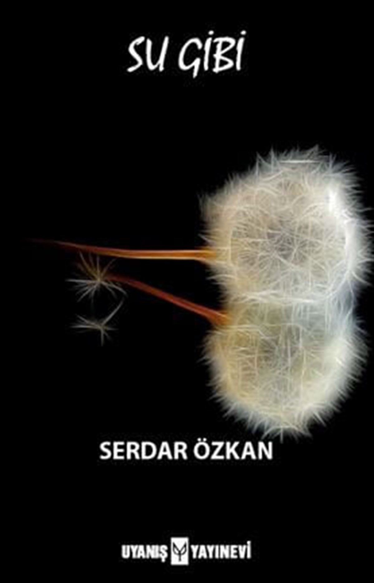 Su Gibi , Serdar Özkan , Uyanış Yayınevi , 9786257175326 ,
