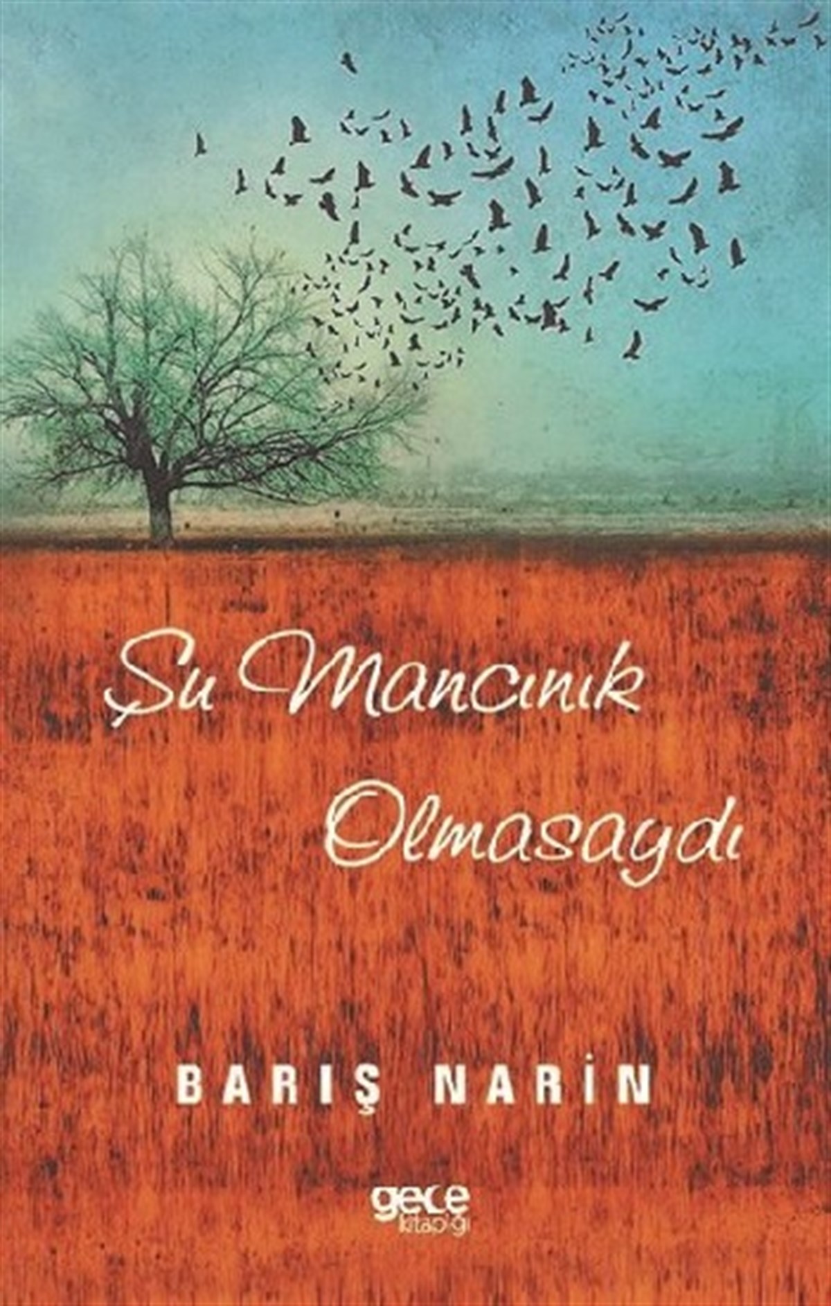 Şu Mancınık Olmasaydı