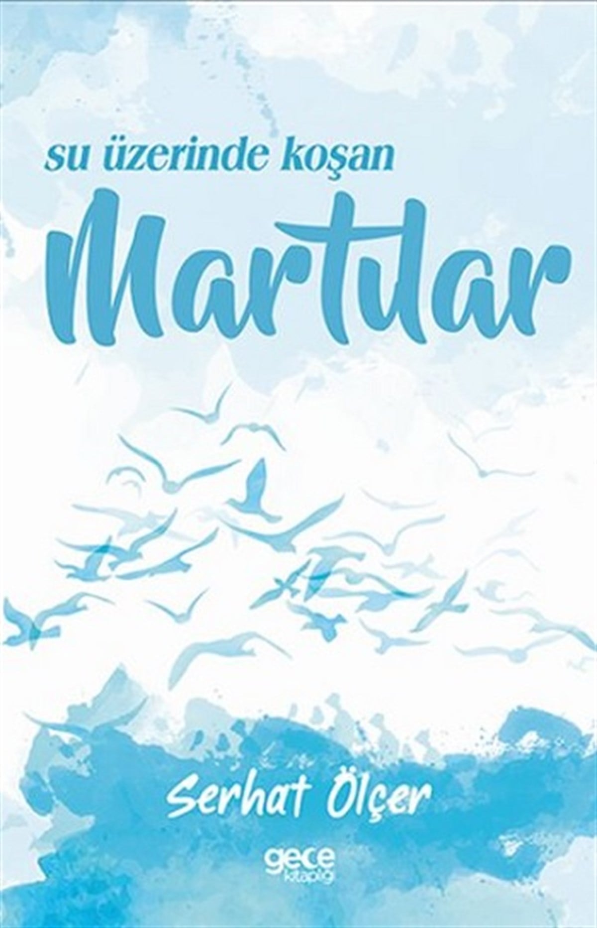 Su Üzerinde Koşan Martılar