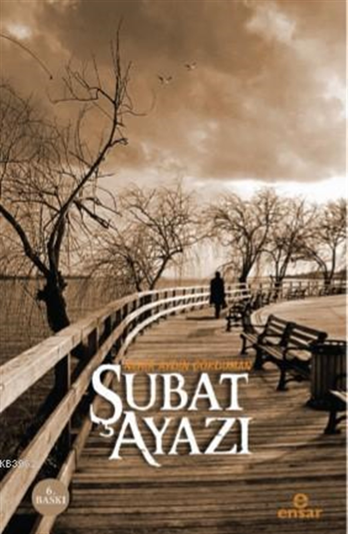 Şubat Ayazı
