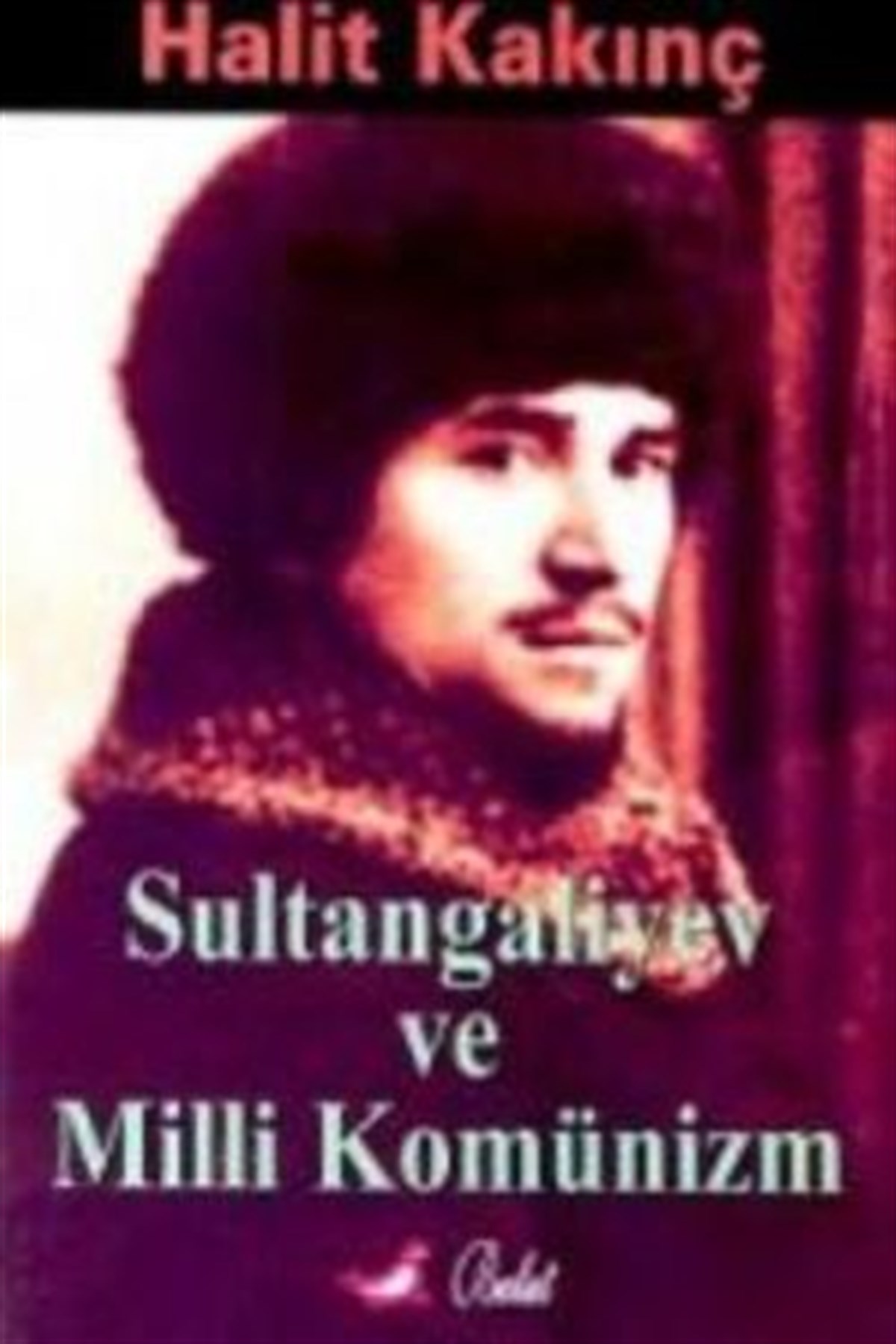 Sultangaliyev ve Milli Komünizm
