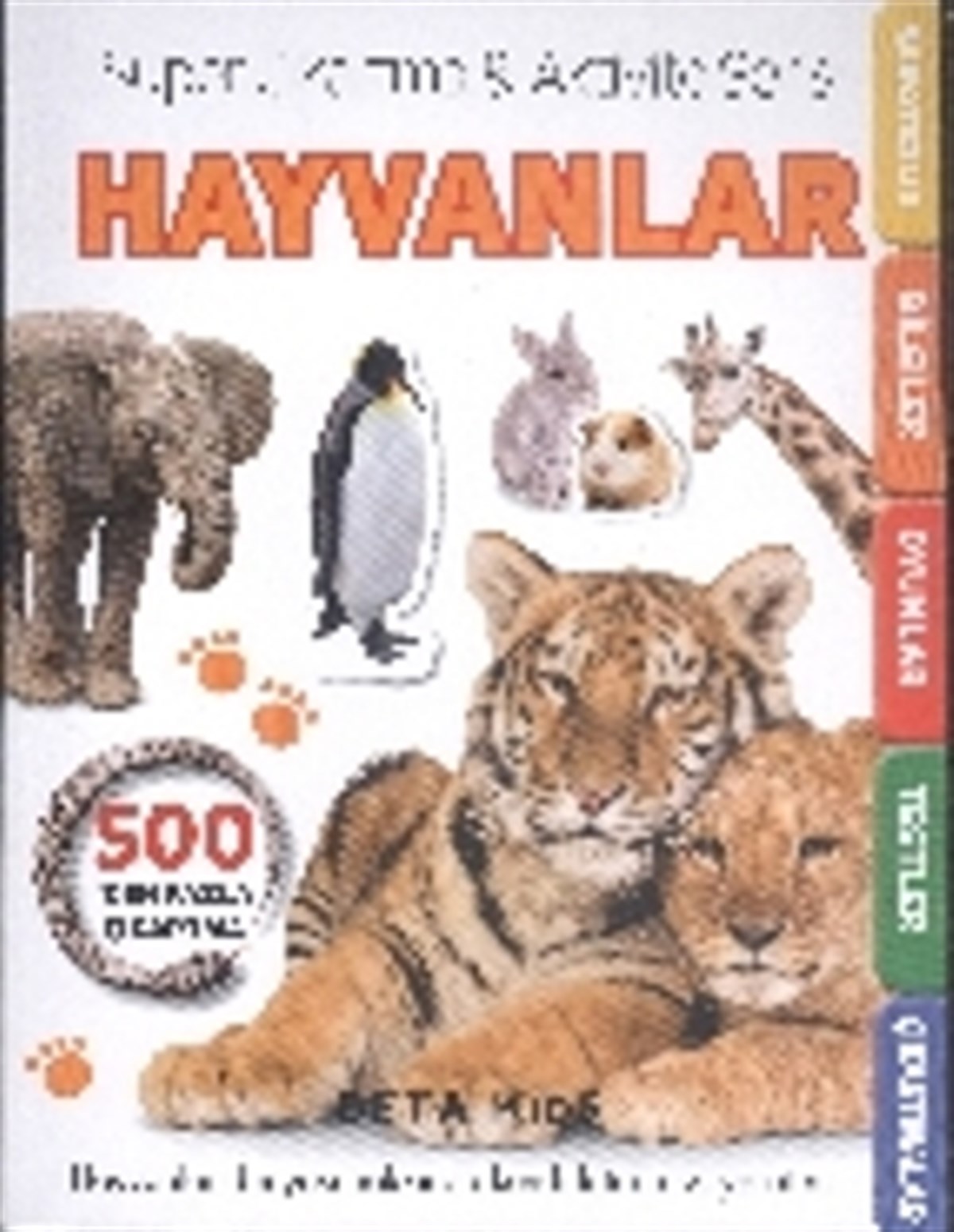 Süper Çıkartma Aktivite Serisi - Hayvanlar
