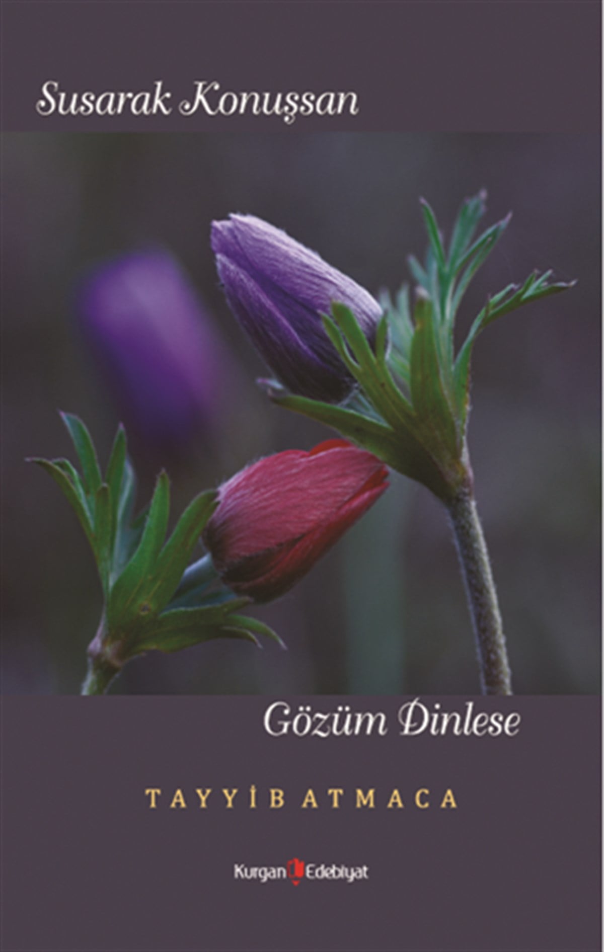 Susarak Konuşsan Gözüm Dinlese