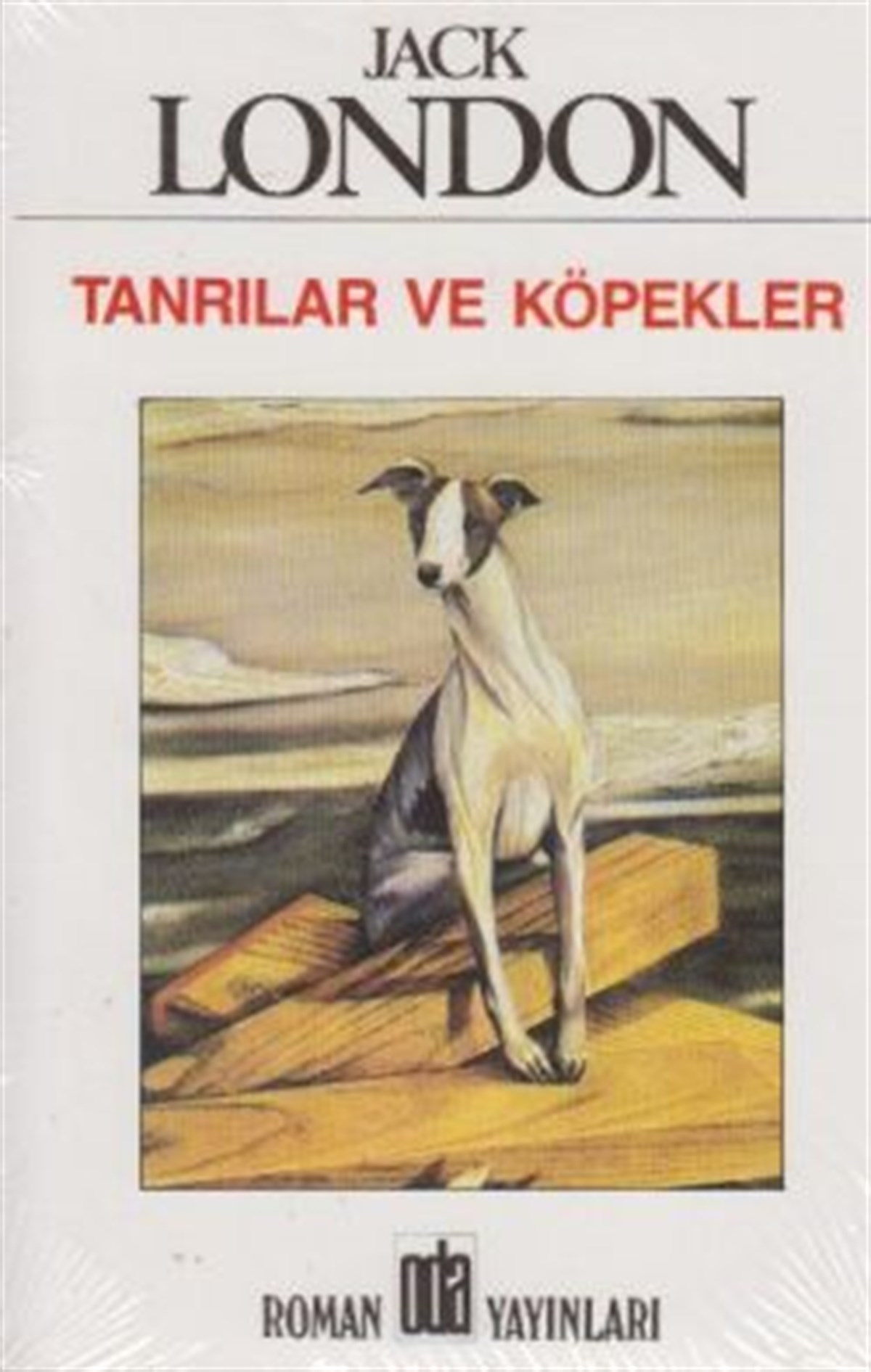 Tanrılar ve Köpekler