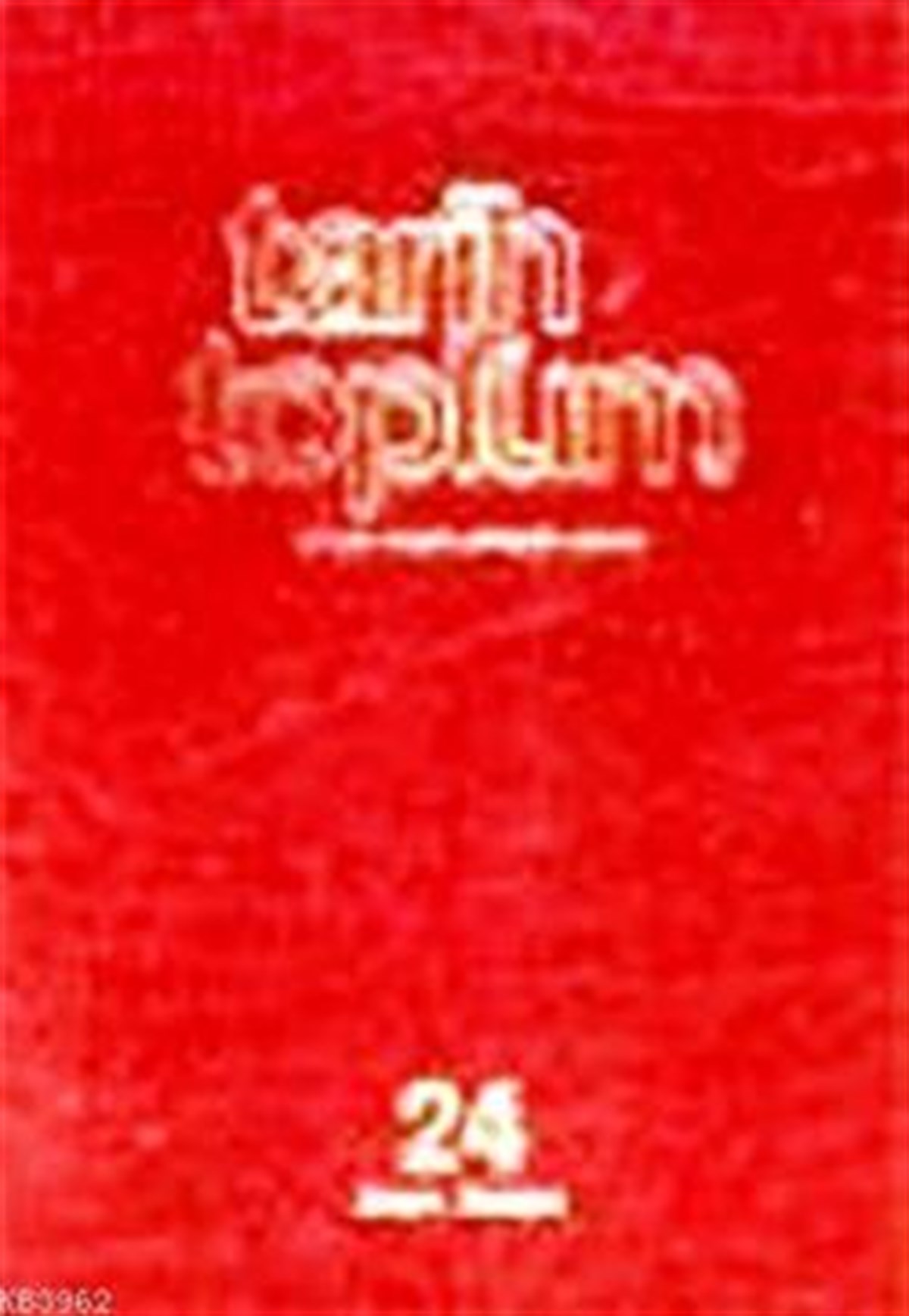 Tarih ve Toplum Cilt 24