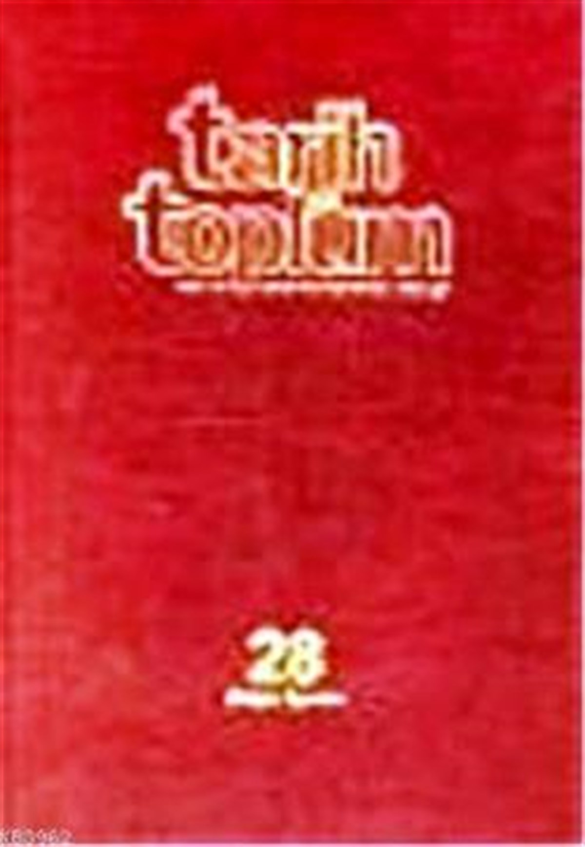 Tarih ve Toplum Cilt 28