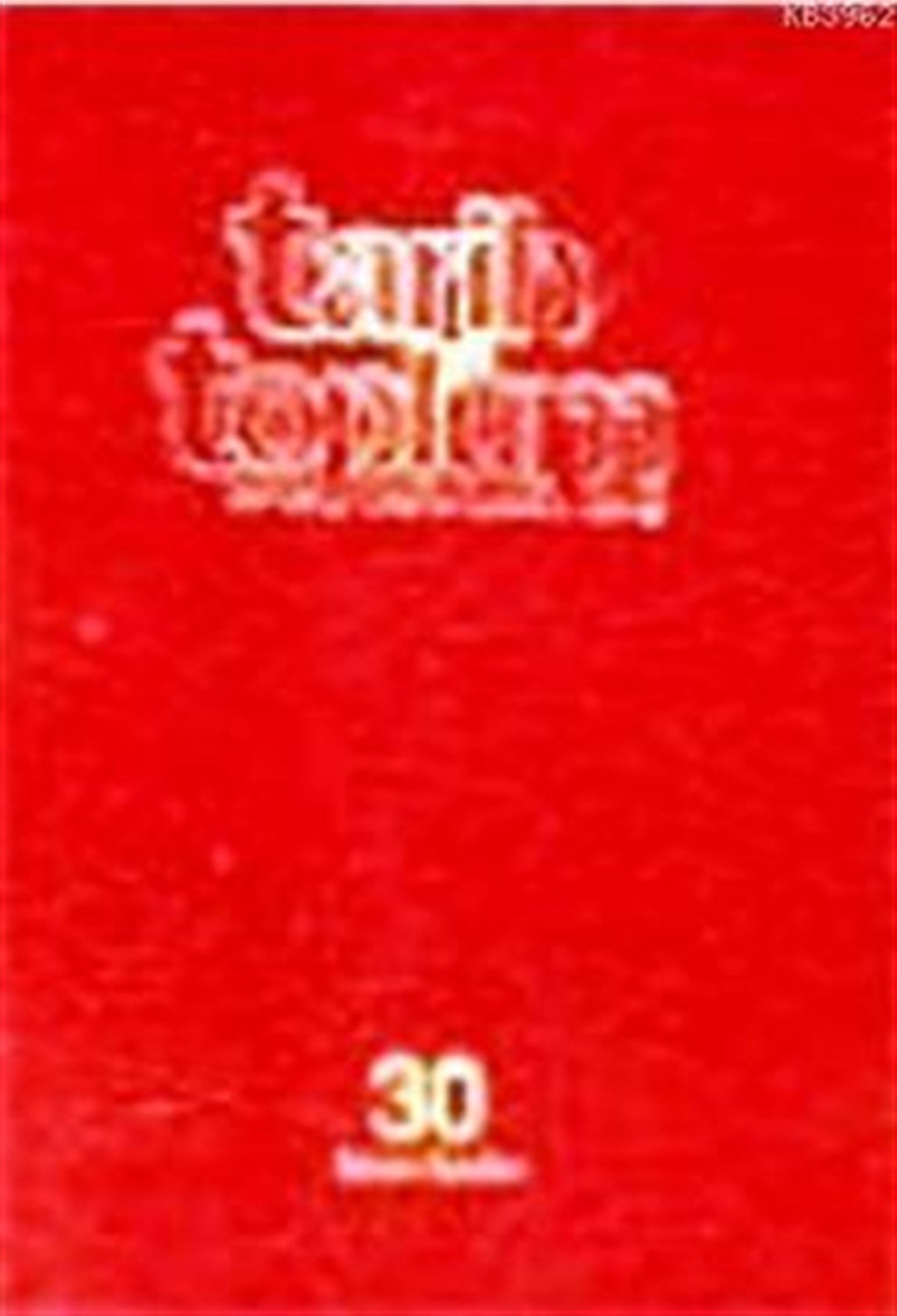 Tarih ve Toplum Cilt 30