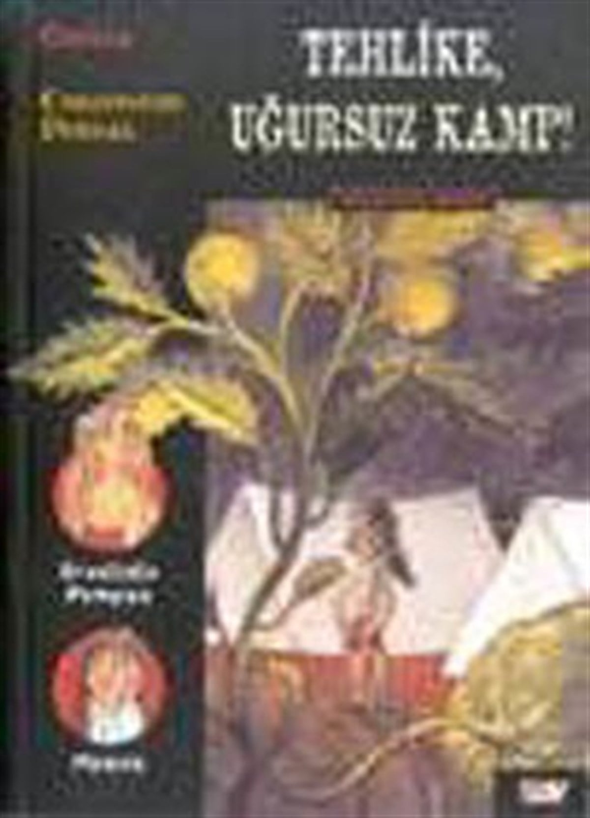 Tehlike, Uğursuz Kamp! Mickette Serisi 4