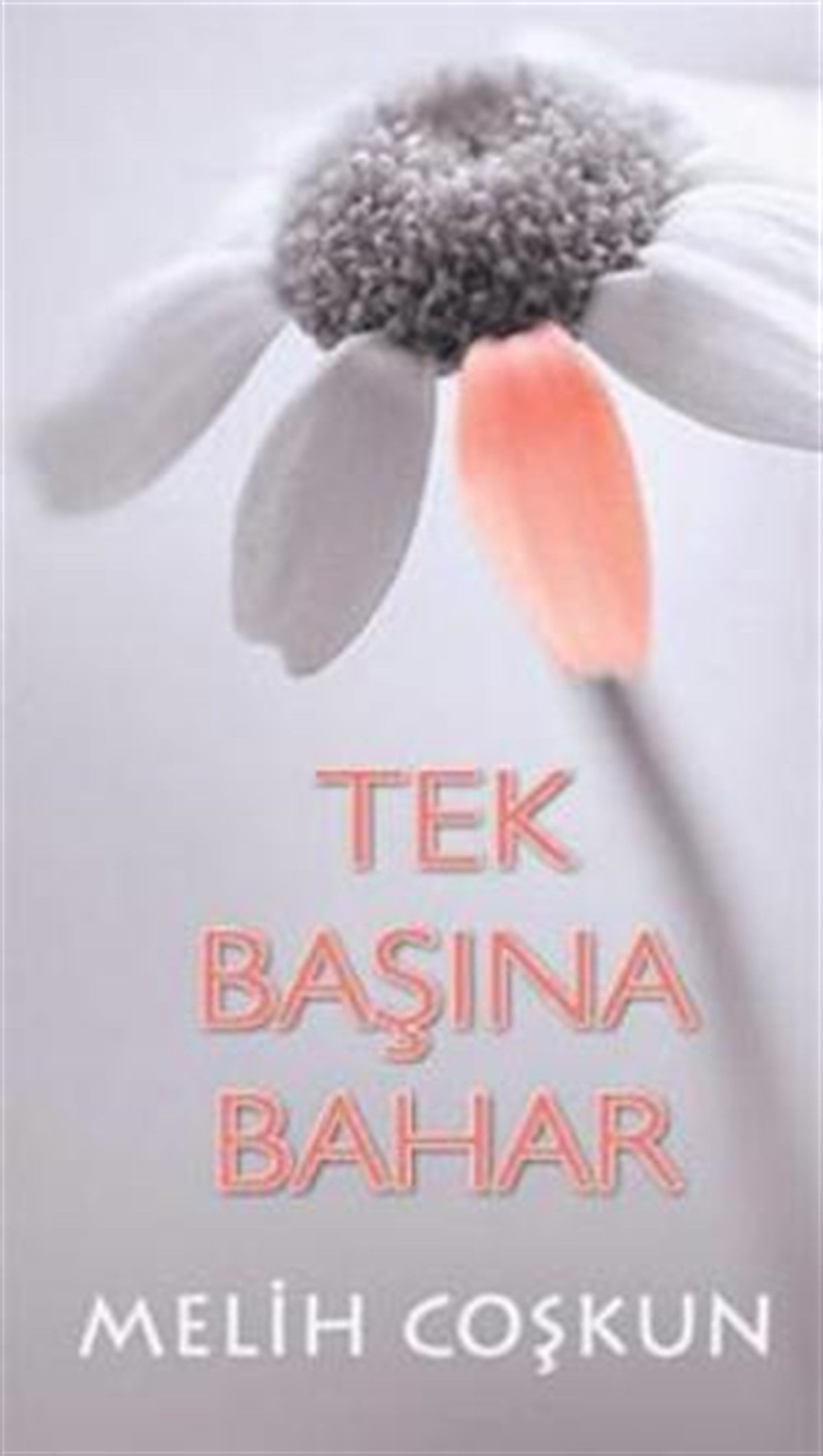 Tek Başına Bahar