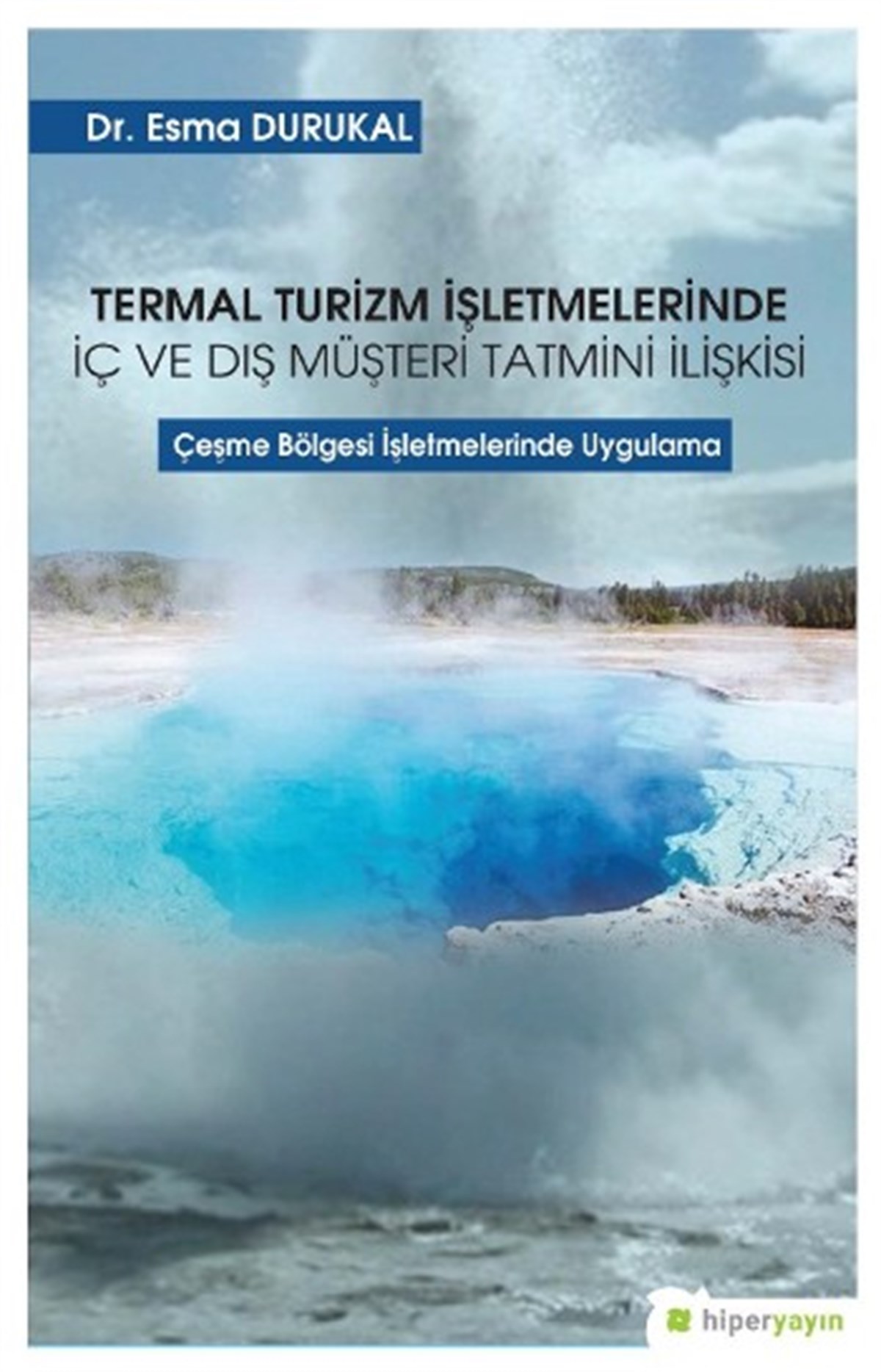 Termal Turizm İşletmelerinde İç ve Dış Müşteri Tatmini İlişkisi