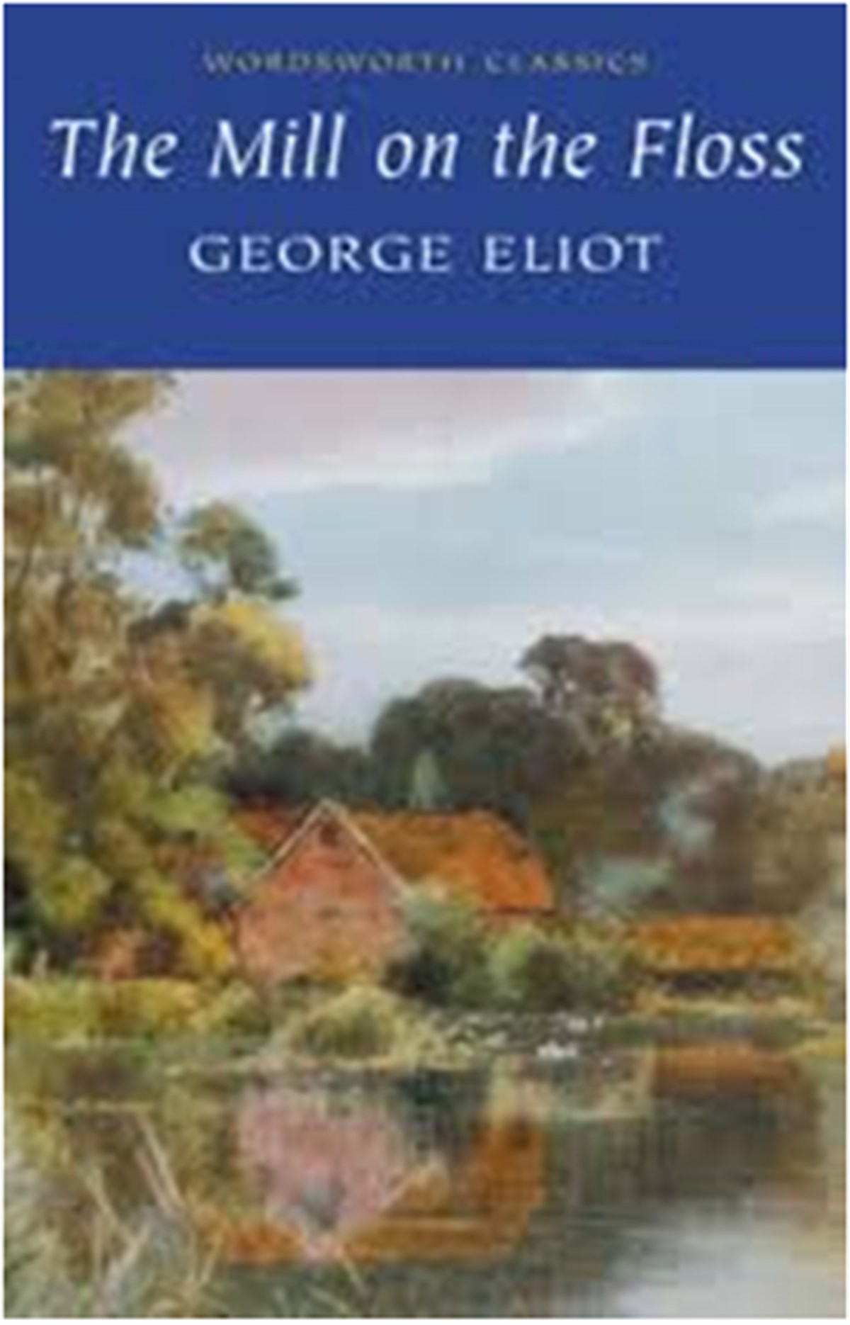 The Mill on the Floss